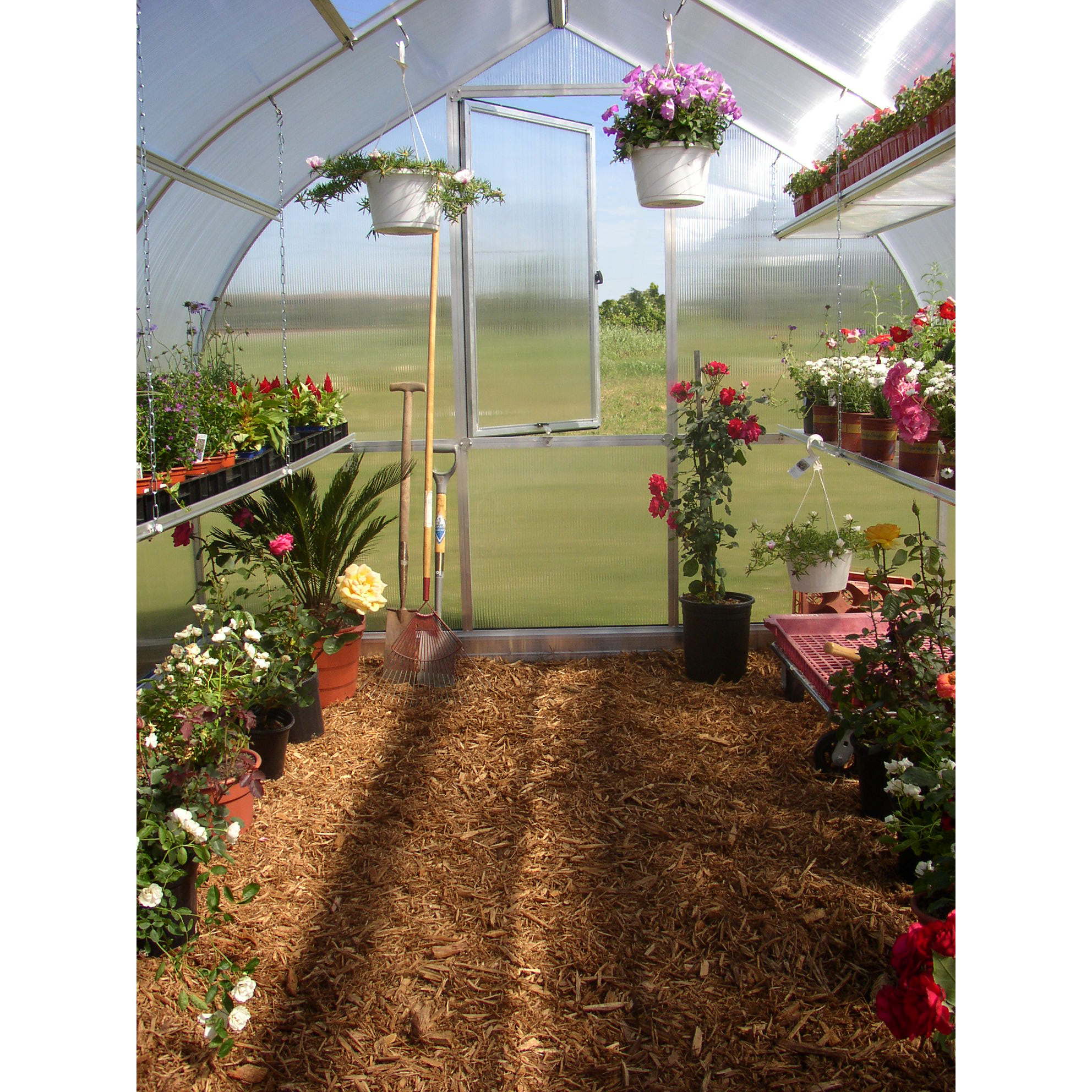 Enlarge Product Preview 5