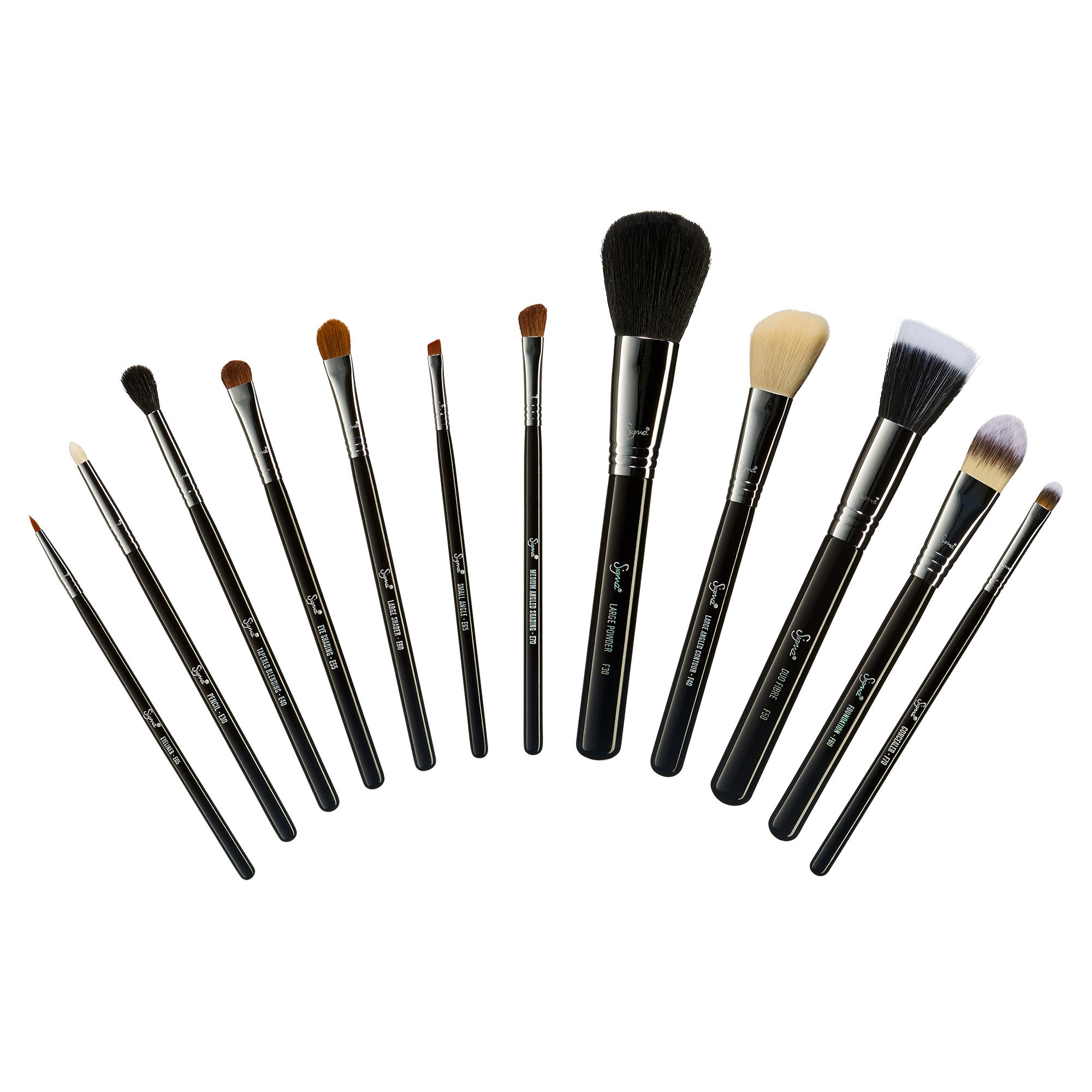 Mr. Bunny Brushes Sigma Essential 12-piece Kit | Costco