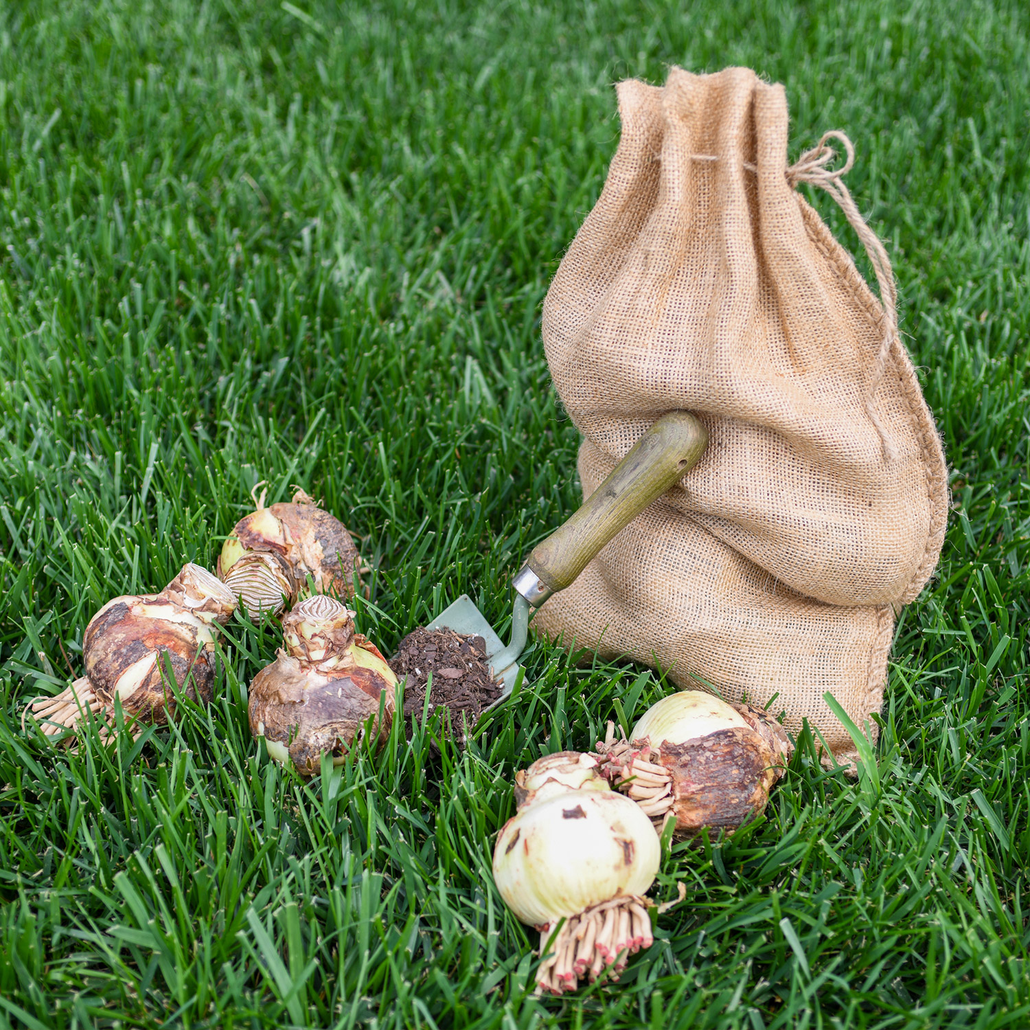 Enlarge Product Preview 5 Successfully Enriched by automation Job.