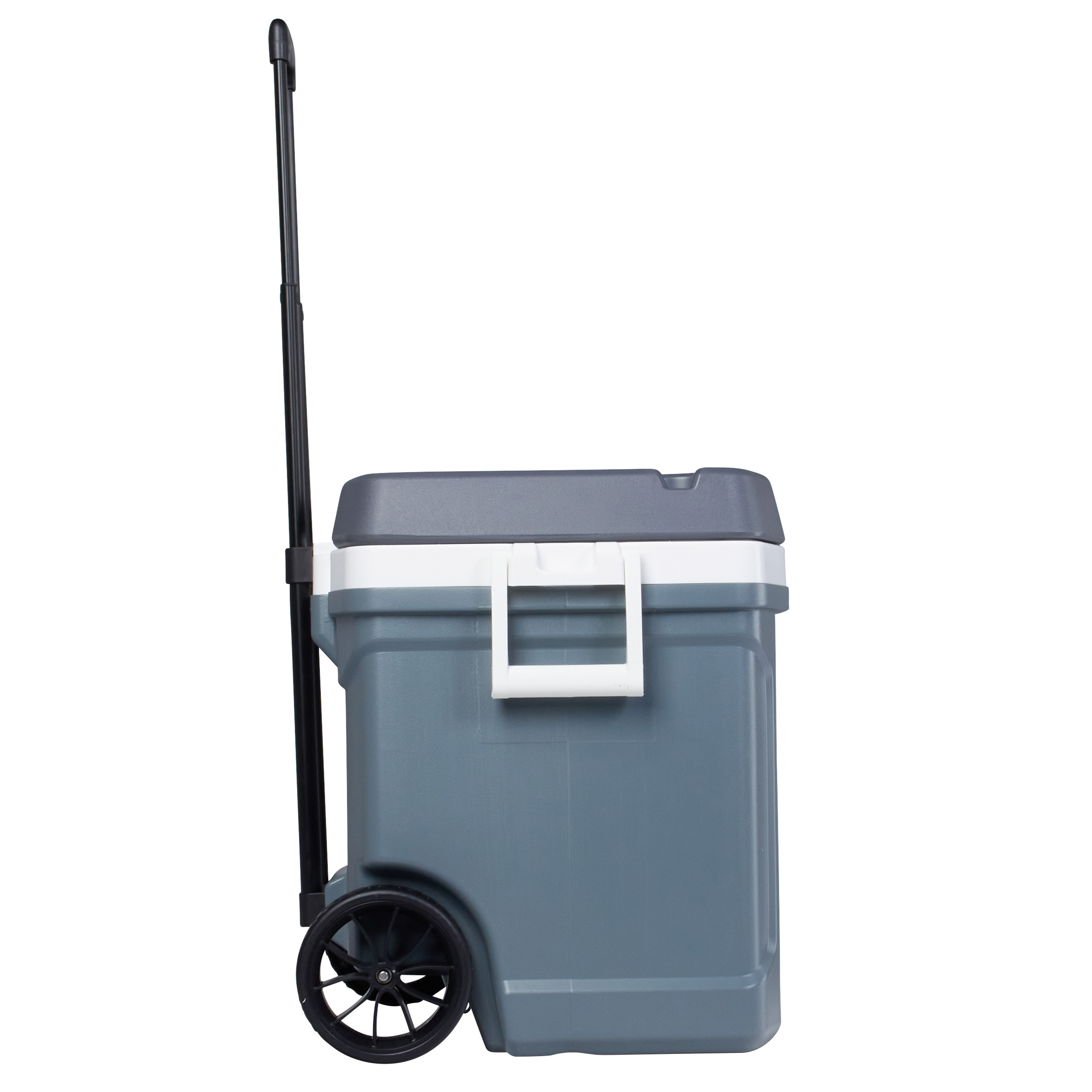 Enlarge Product Preview 7