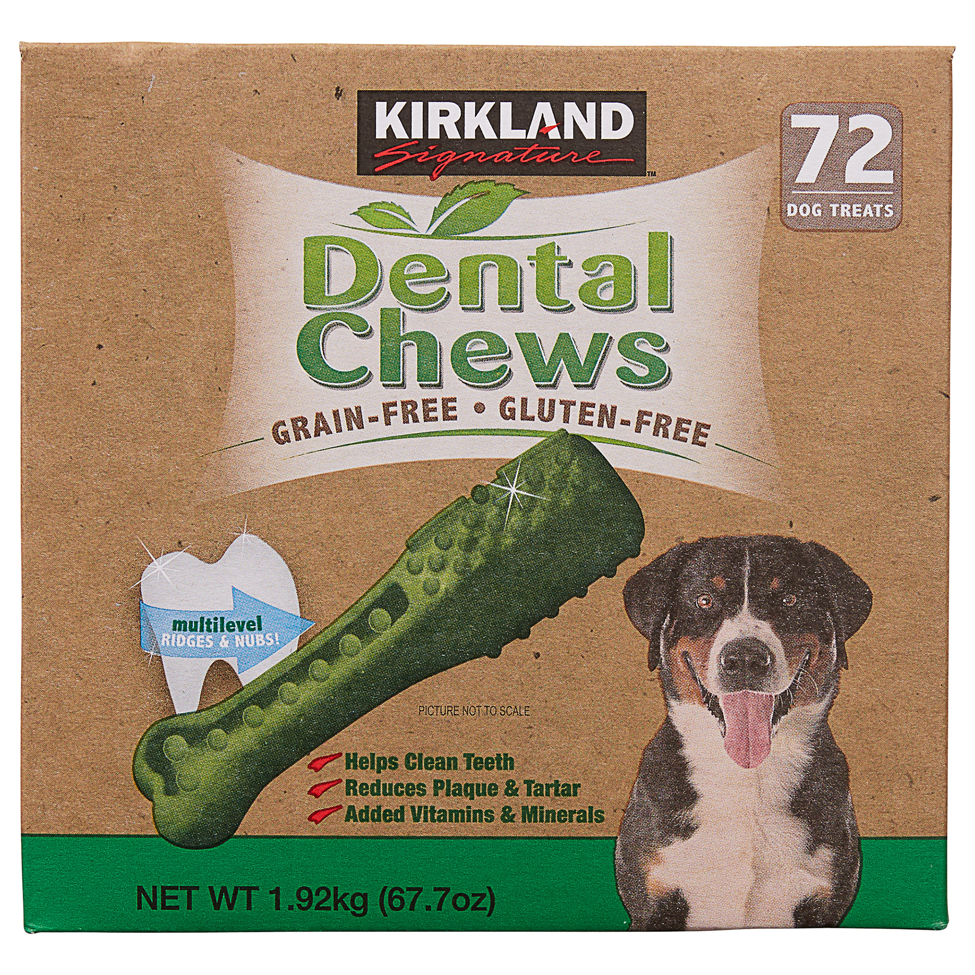 Kirkland Signature Dental Chews  72-count