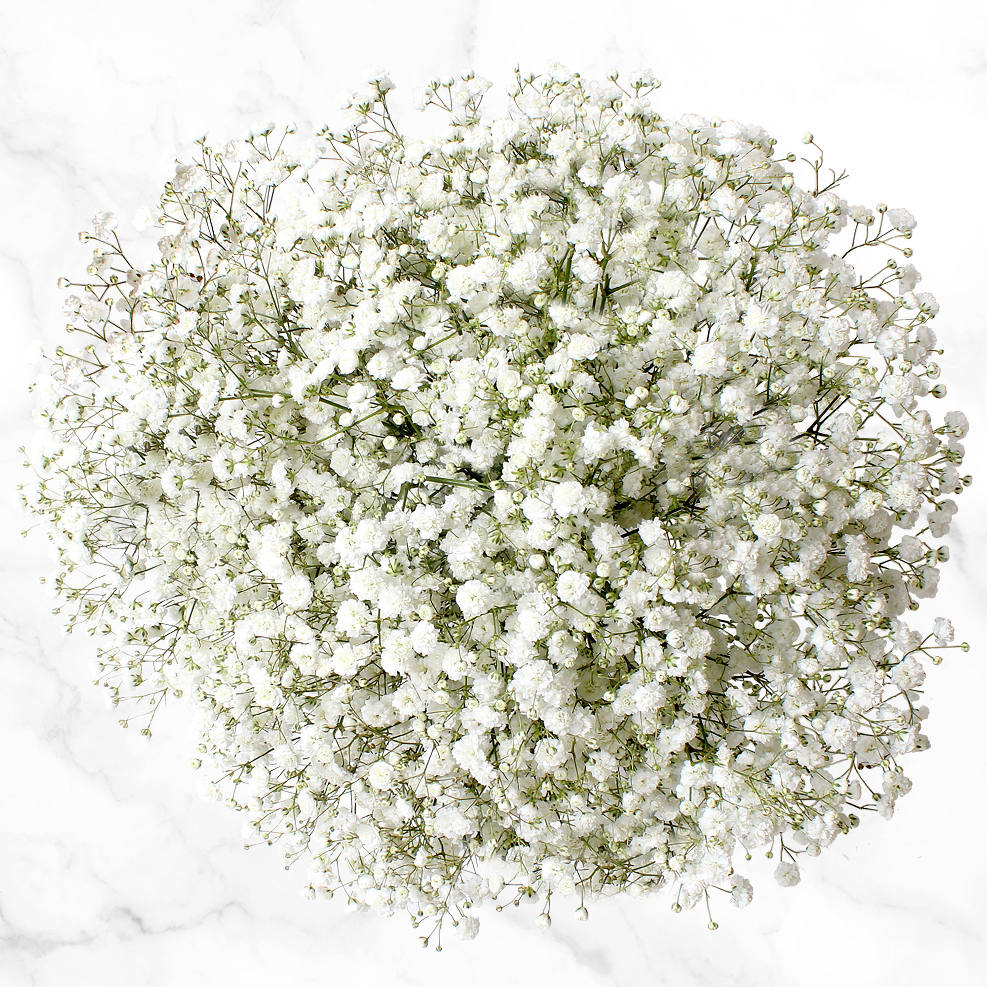 Enlarge Product Preview 4