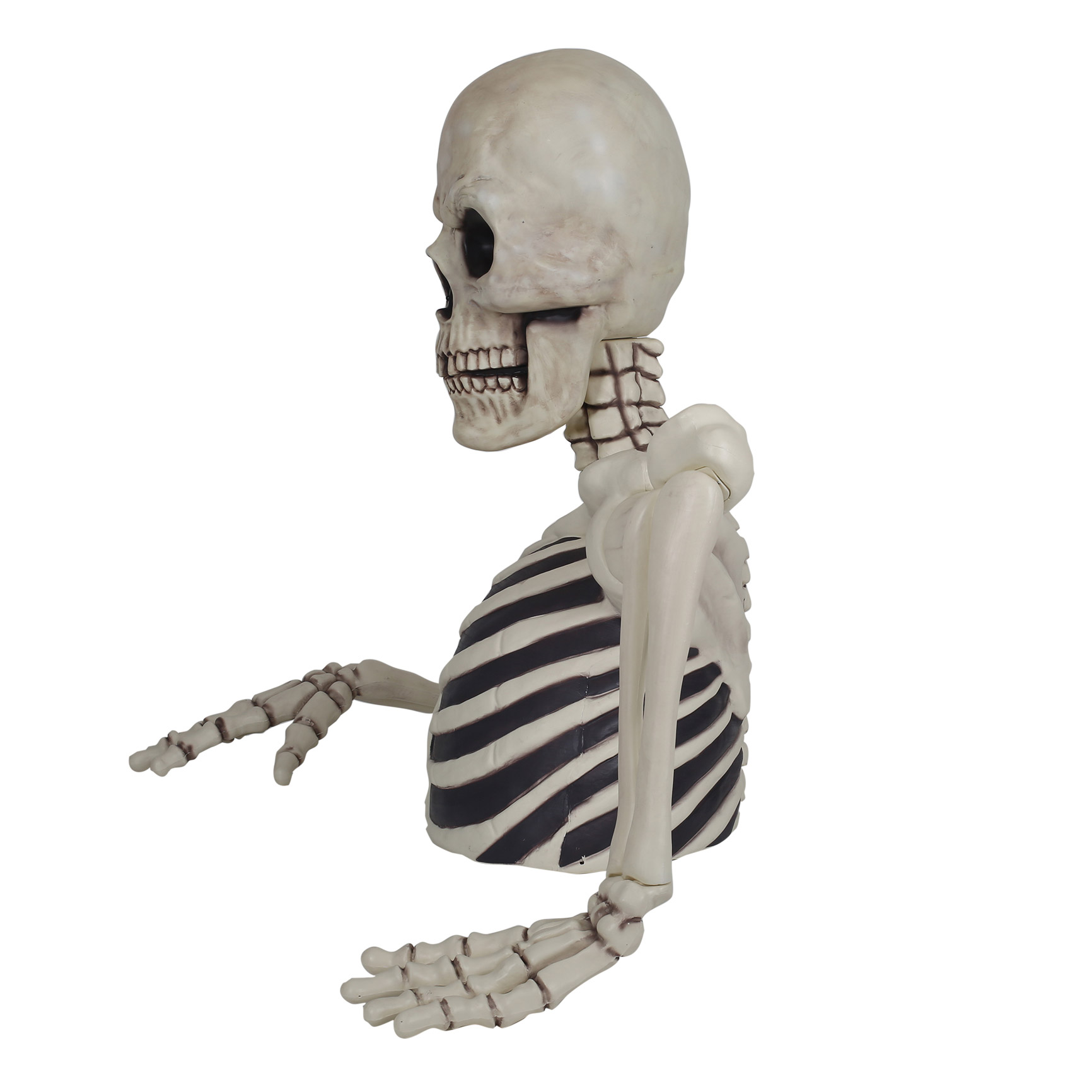 Enlarge Product Preview 6 Successfully Enriched by automation Job.