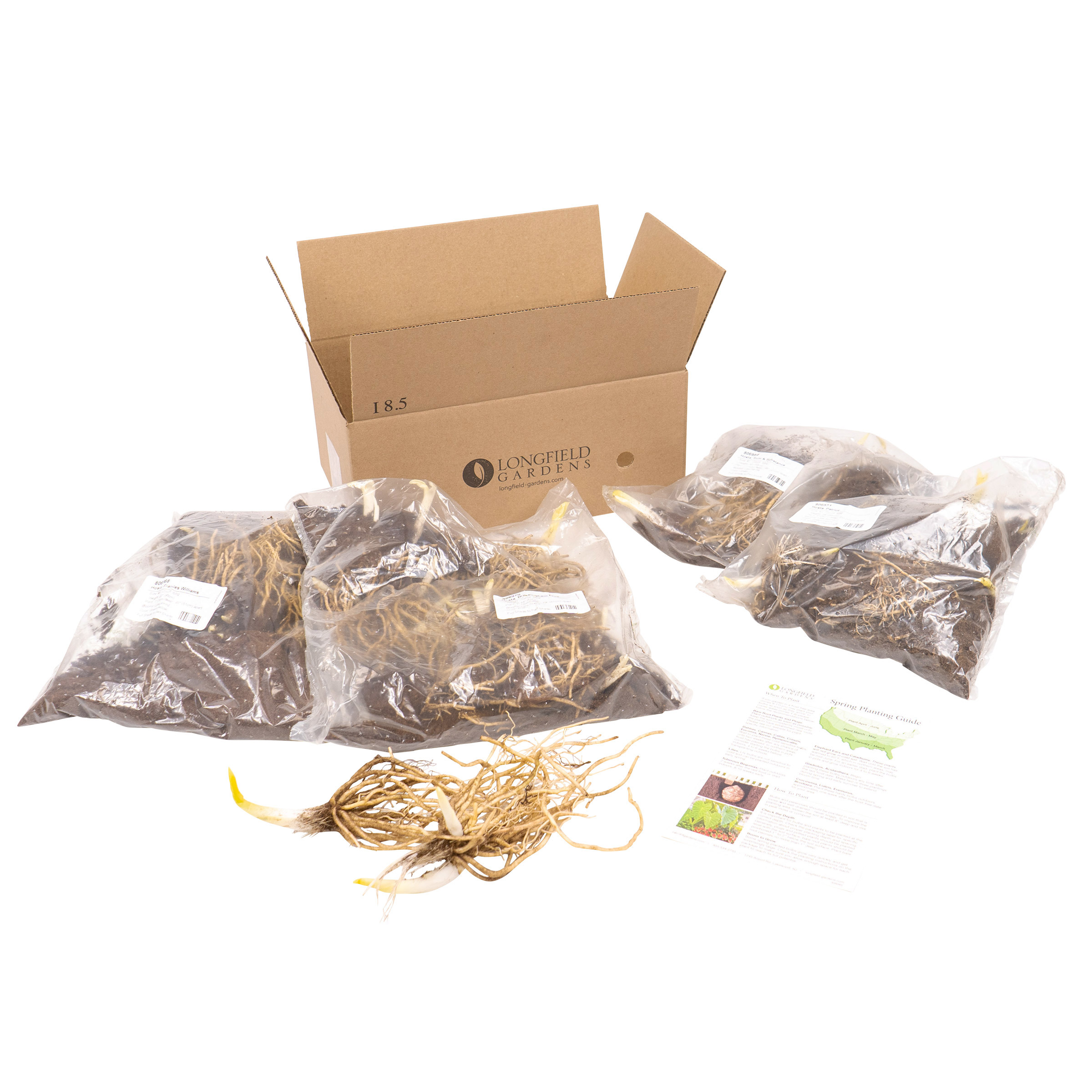 Enlarge Product Preview 22