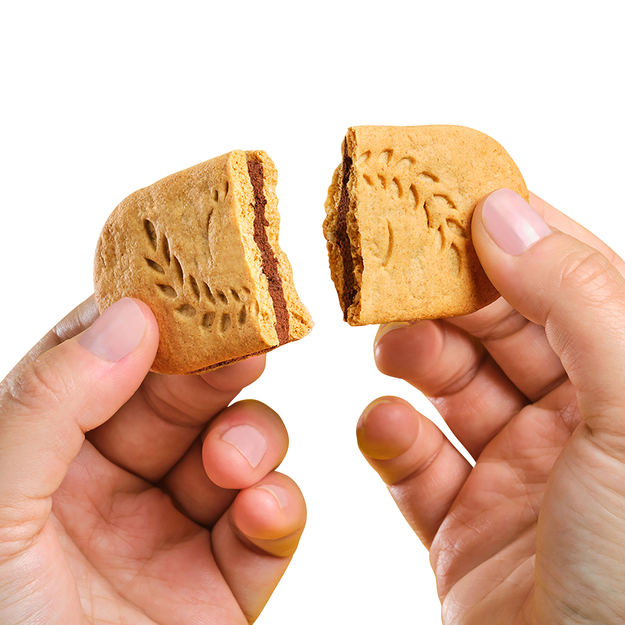 Enlarge Product Preview 5 Successfully Enriched by automation Job.