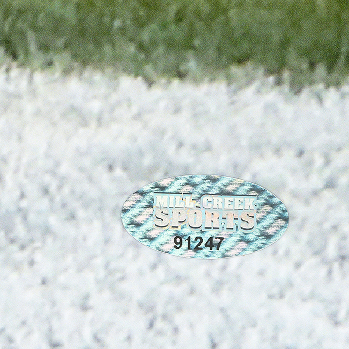 Enlarge Product Preview 4 Successfully Enriched by automation Job.