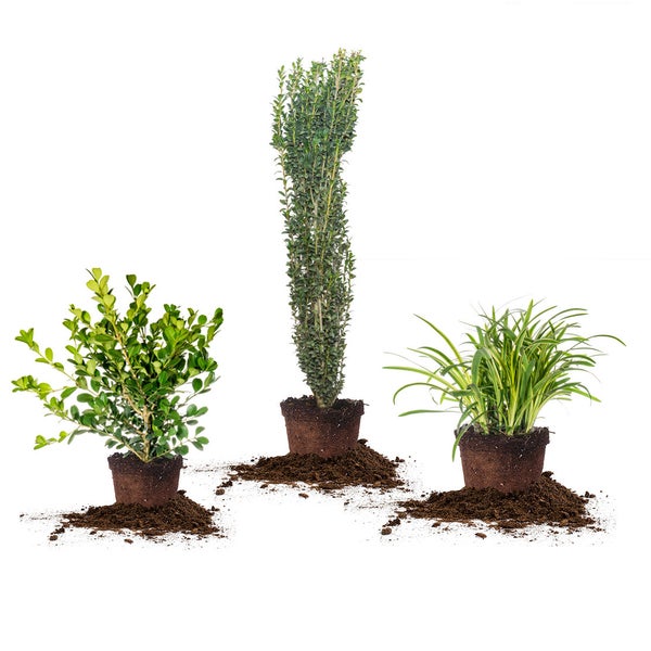 1 Gal. Home Garden Collection, 8 Pack | Costco 1 Gal. Home Garden Collection, 8 Pack | Costco