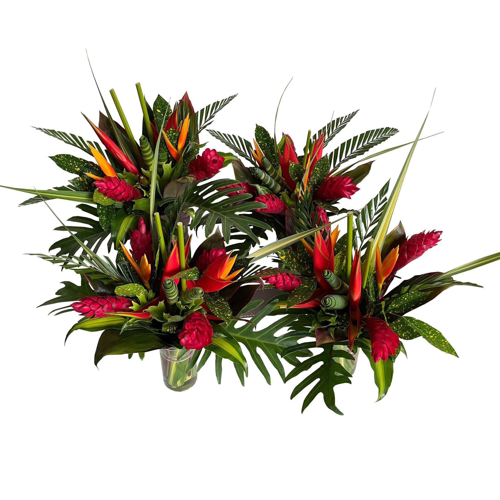Tropical Wild Heliconia - 4 Bouquets