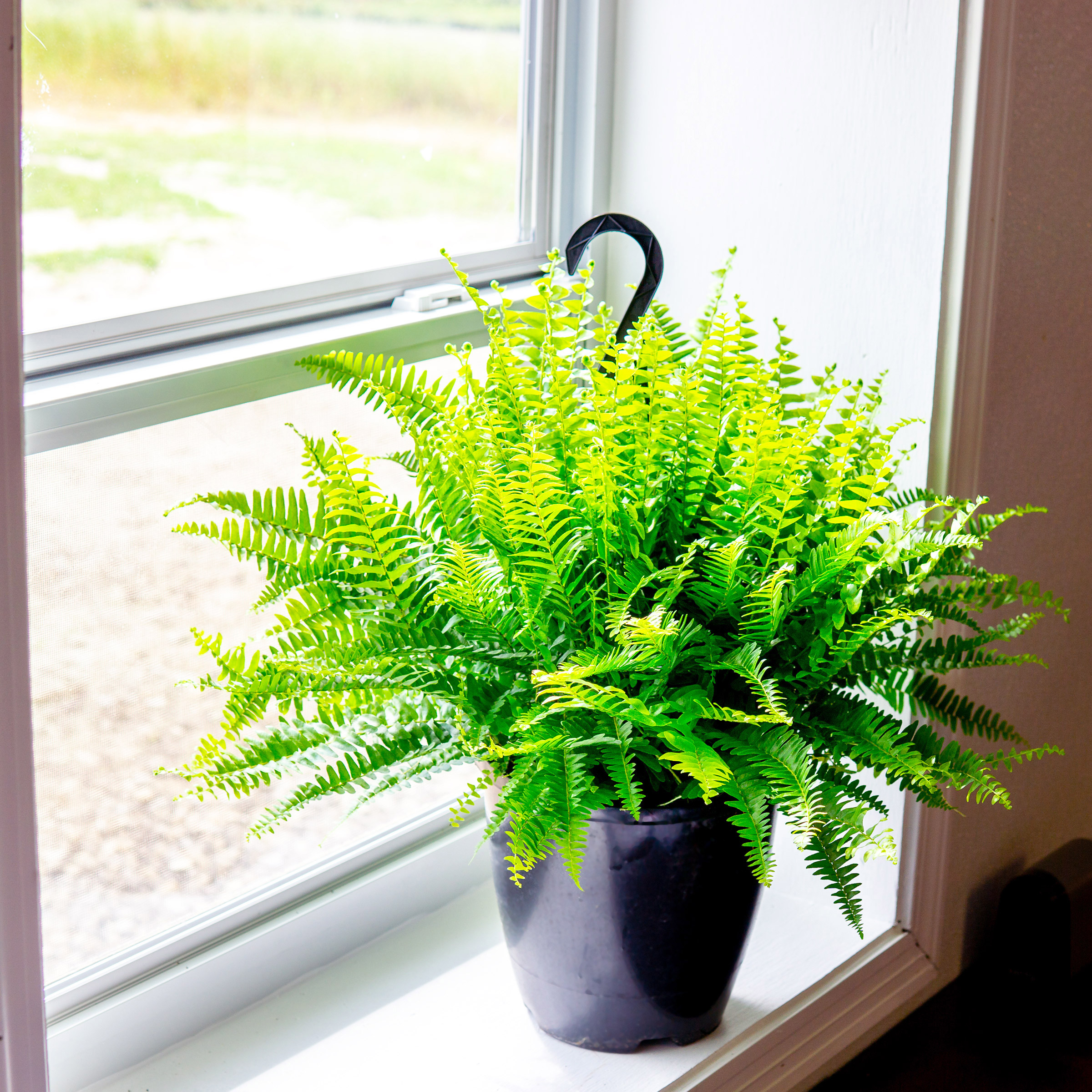 Enlarge Product Preview 3