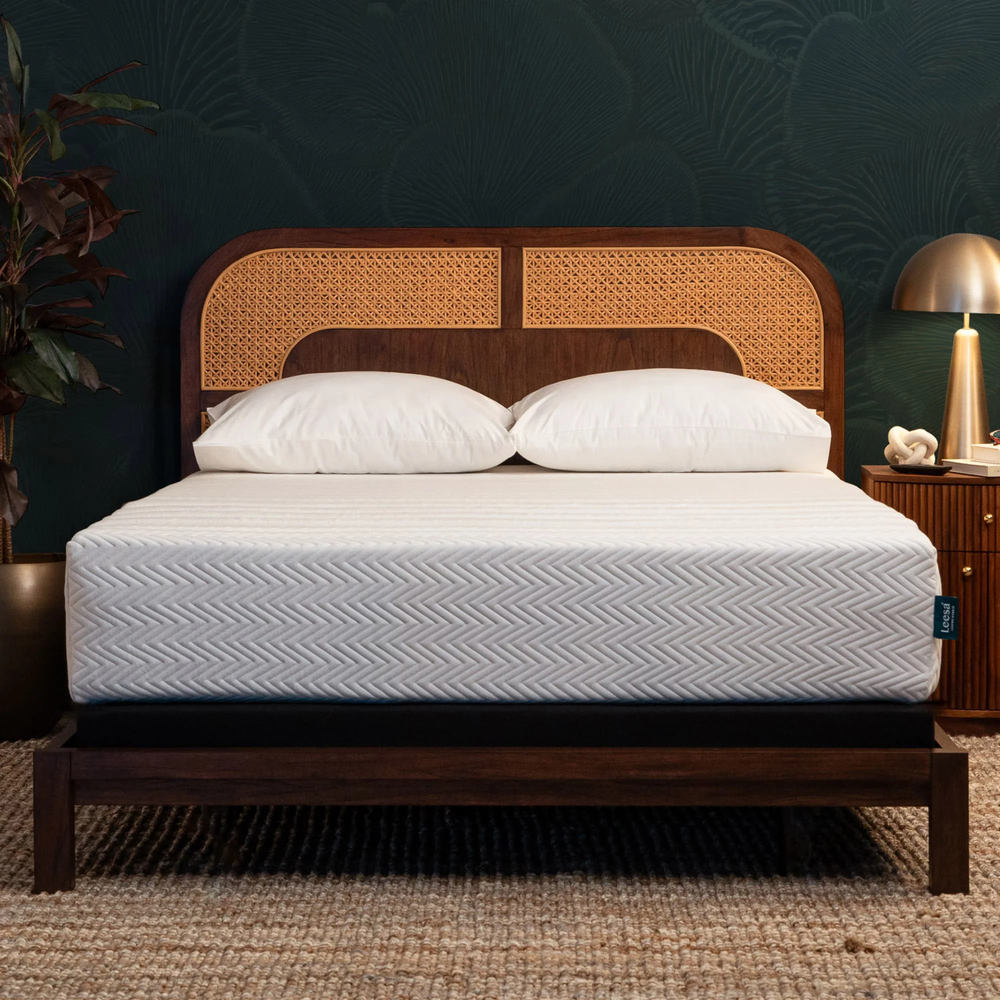 100736221-847__1?auto=webp&