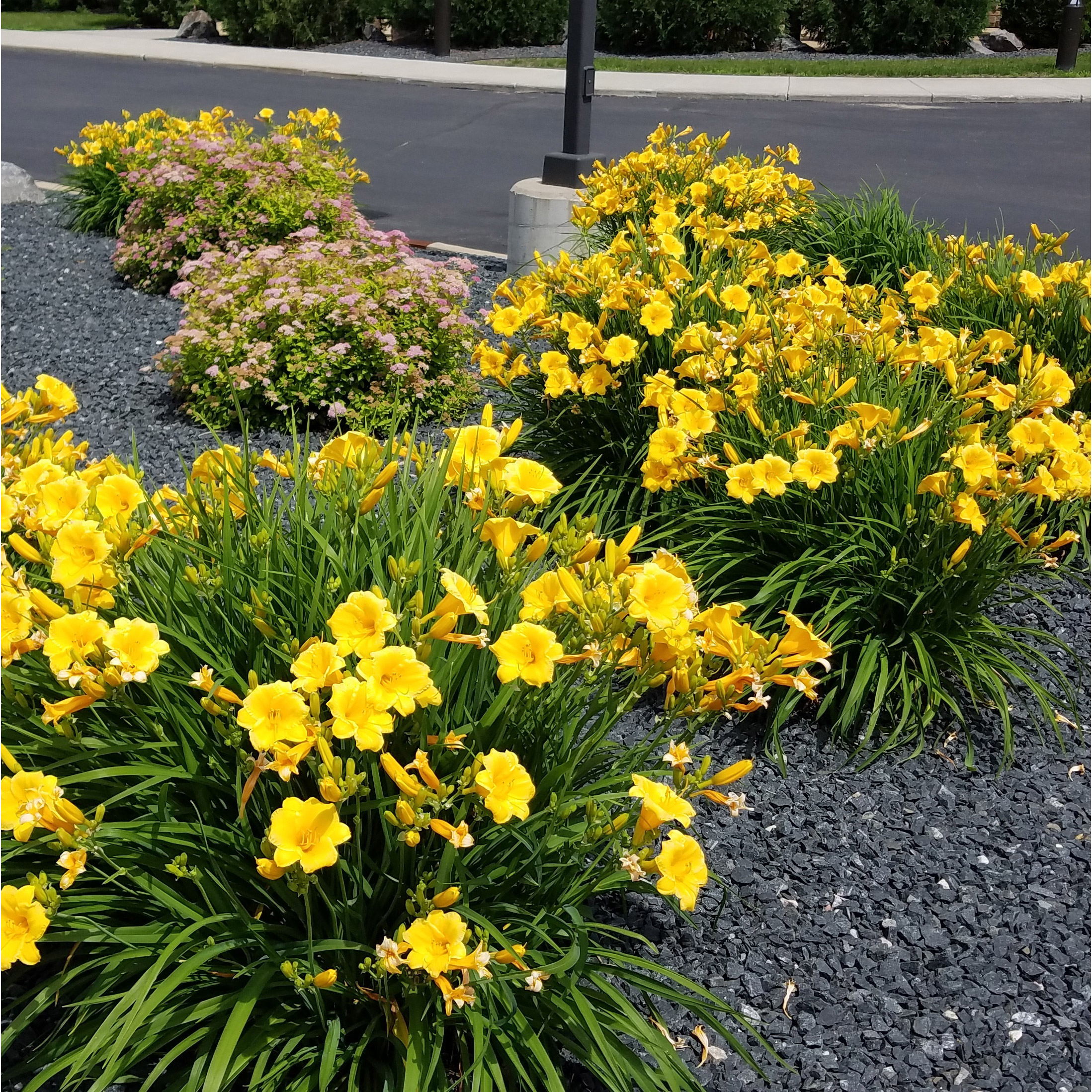 Enlarge Product Preview 3