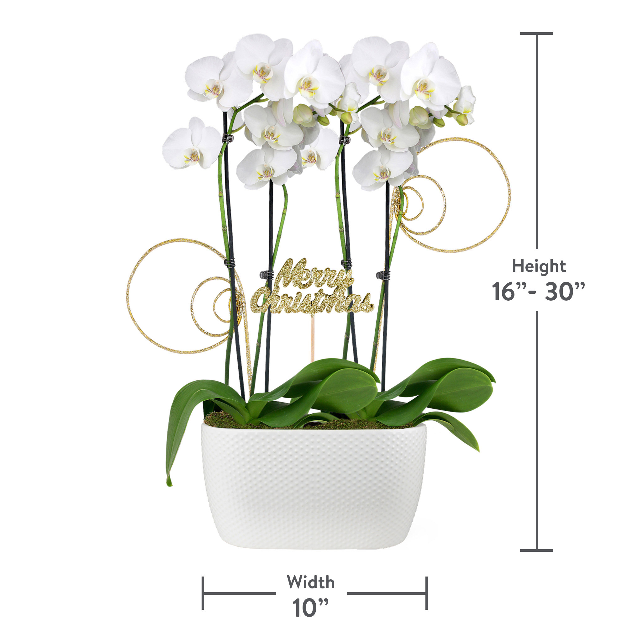 Enlarge Product Preview 3 Successfully Enriched by automation Job.