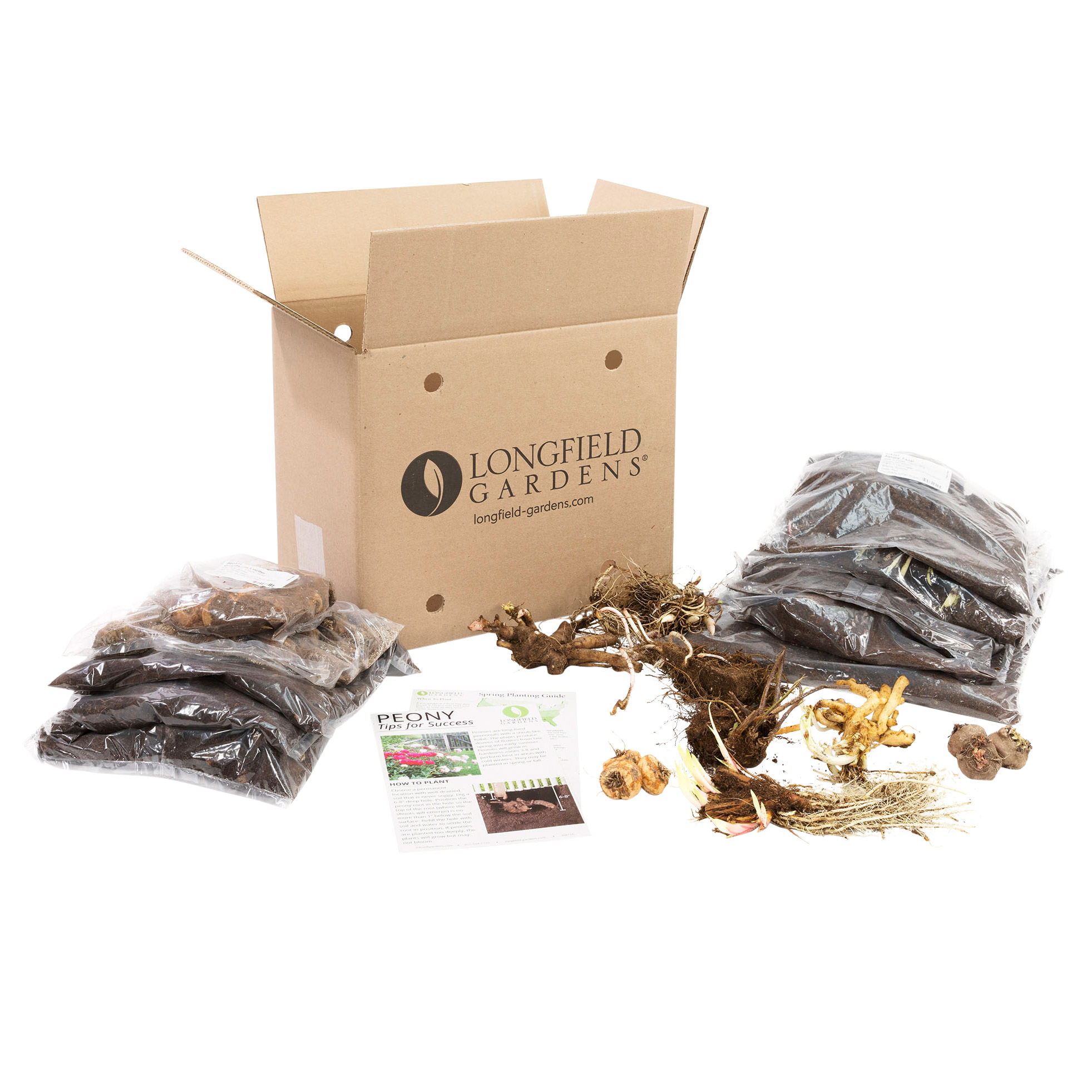 Enlarge Product Preview 7 Successfully Enriched by automation Job.