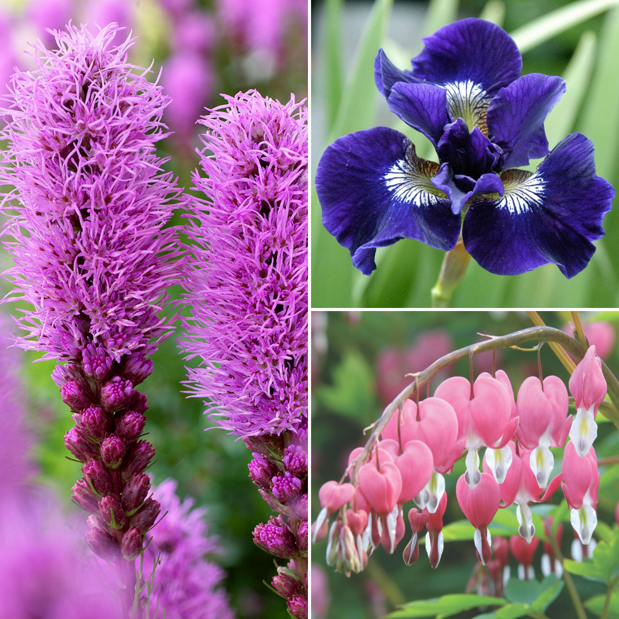 Enlarge Product Preview 2