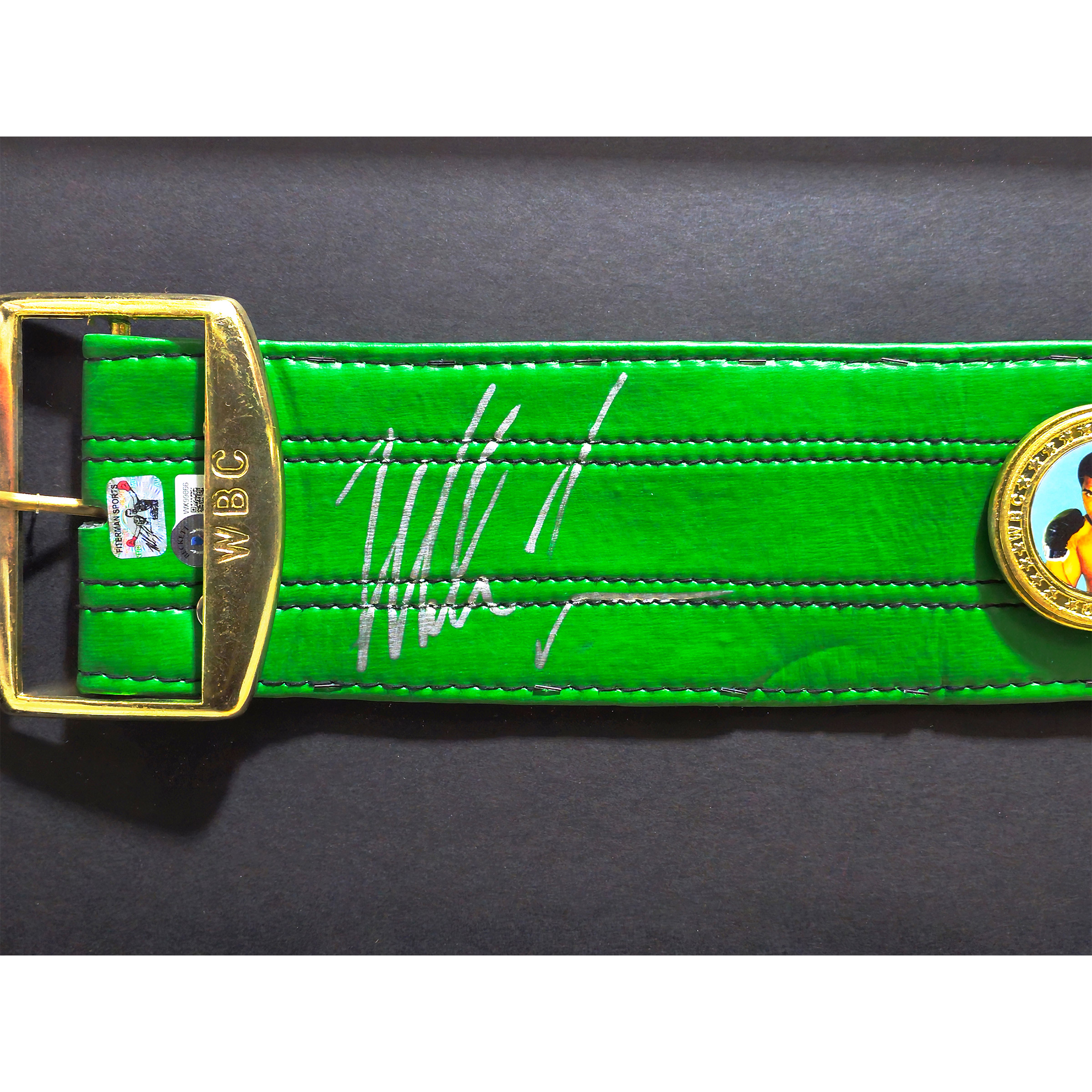 Enlarge Product Preview 4 Successfully Enriched by automation Job.