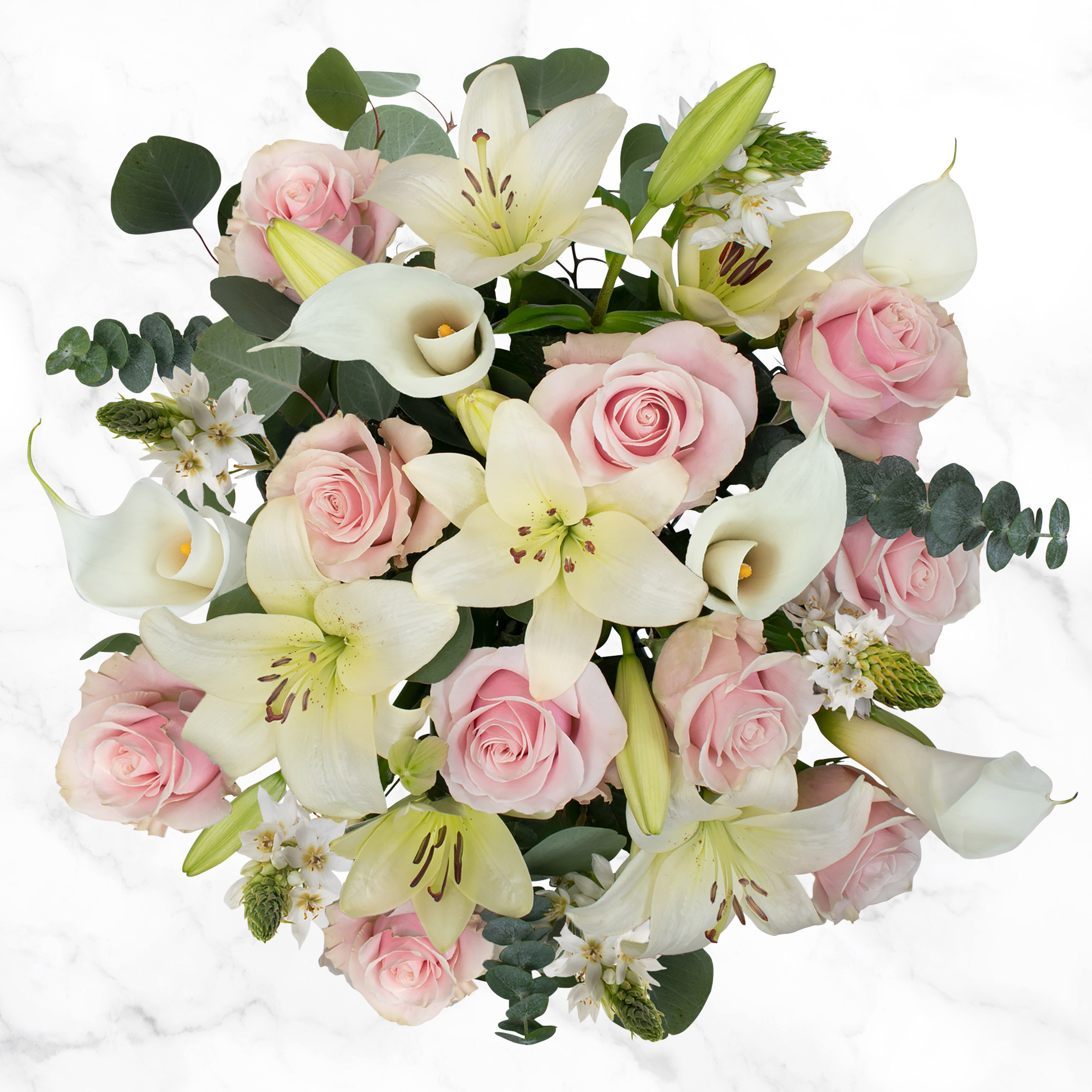 Enlarge Product Preview 3