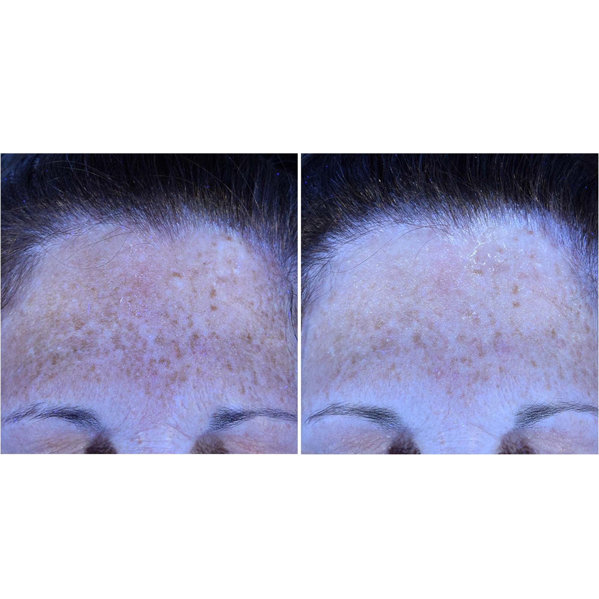 Enlarge Product Preview 4 Successfully Enriched by automation Job.