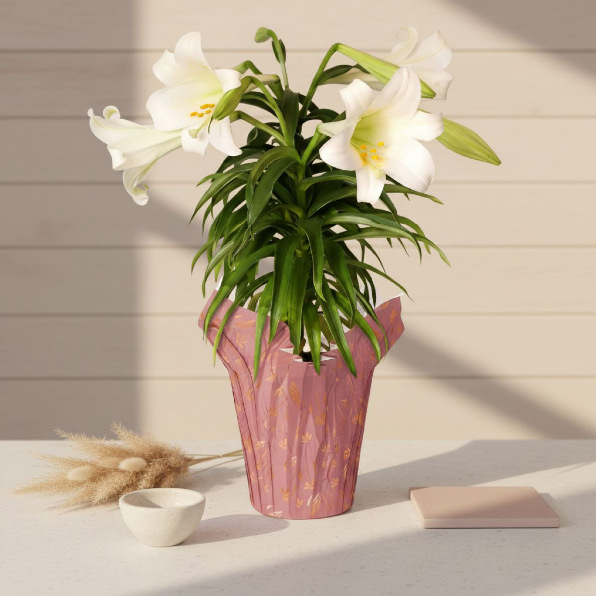 6” Live Decorative Easter Lily in Briony Pot Cover – Spring Gift