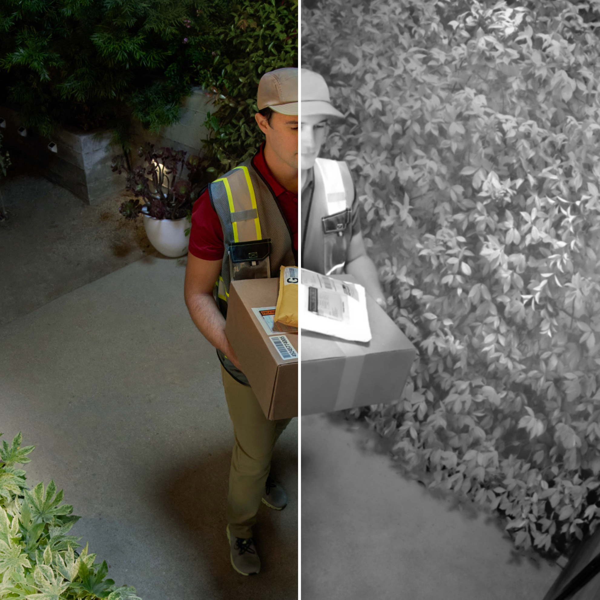 Enlarge Product Preview 3 Successfully Enriched by automation Job.