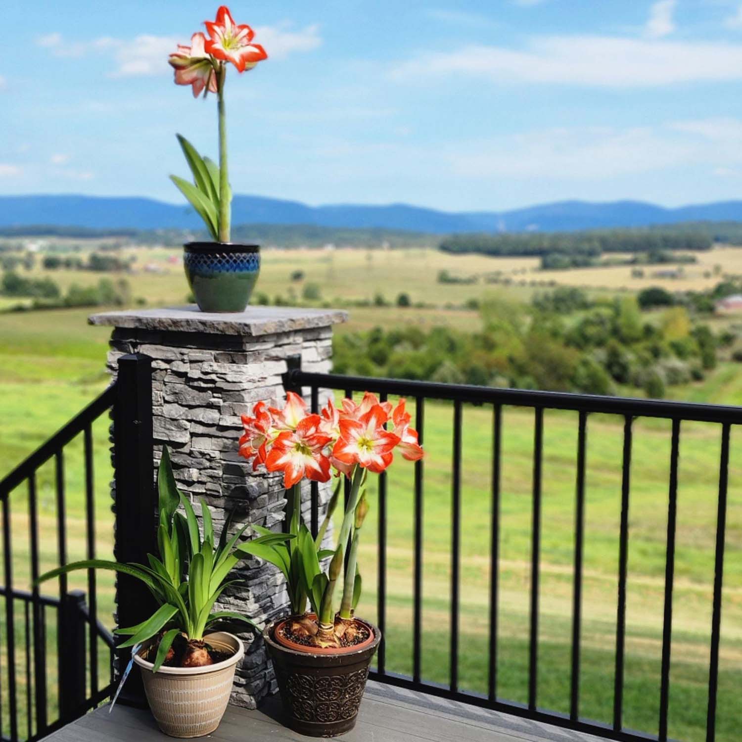 Enlarge Product Preview 5