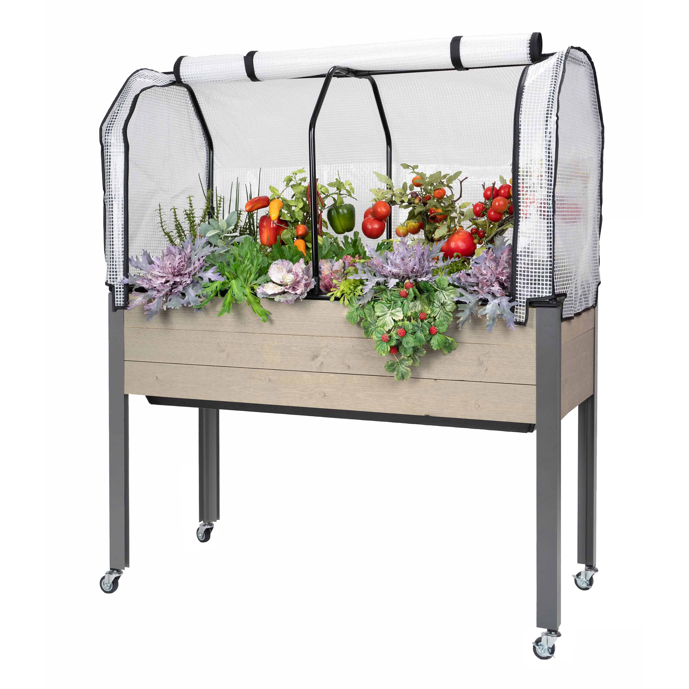 Self-Watering Elevated Spruce Planter with Greenhouse & Bug Cover