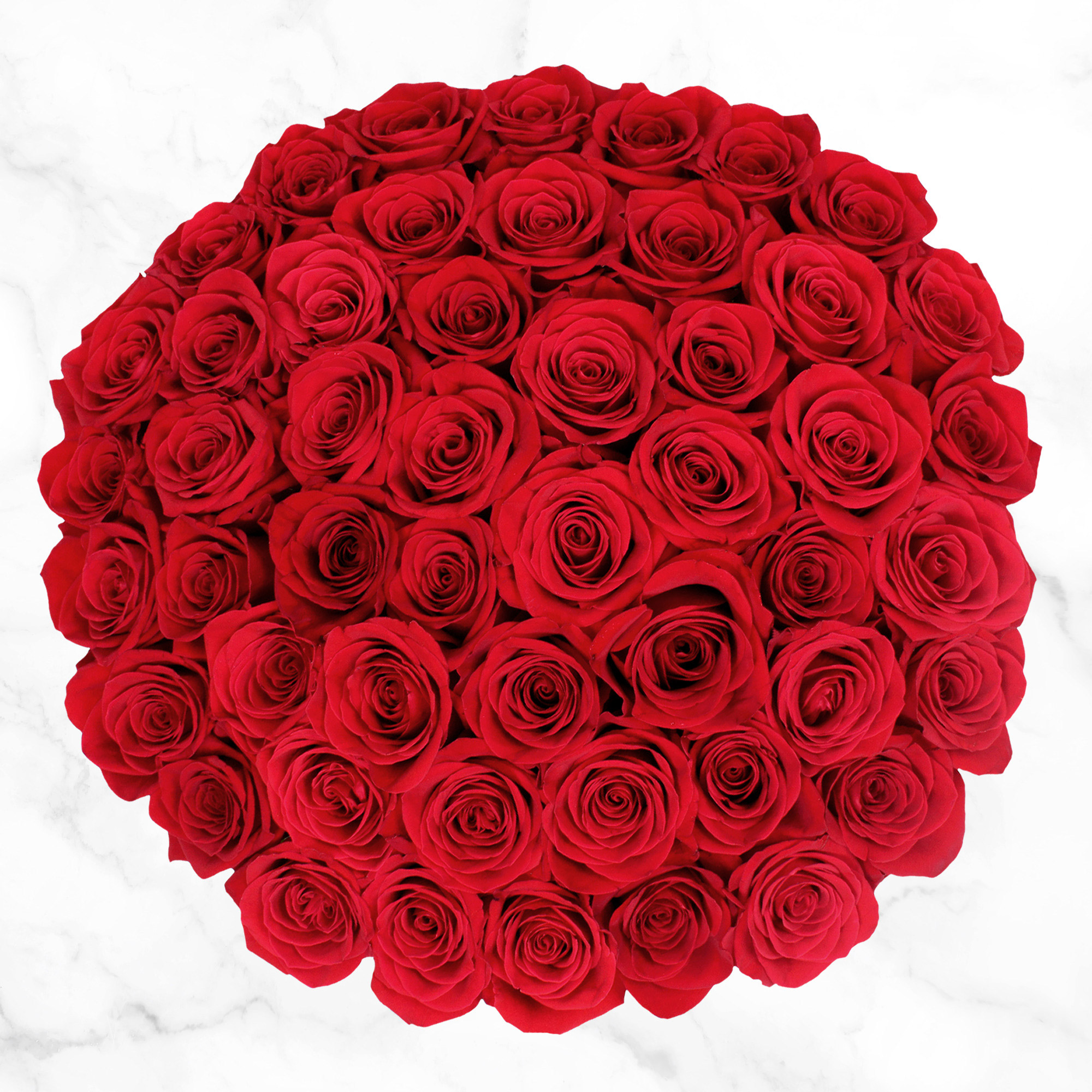 50-stem Red Roses