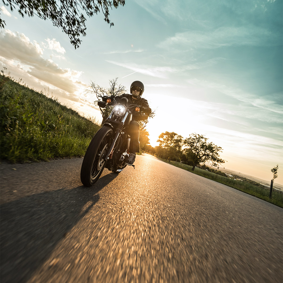 Enlarge Product Preview 5