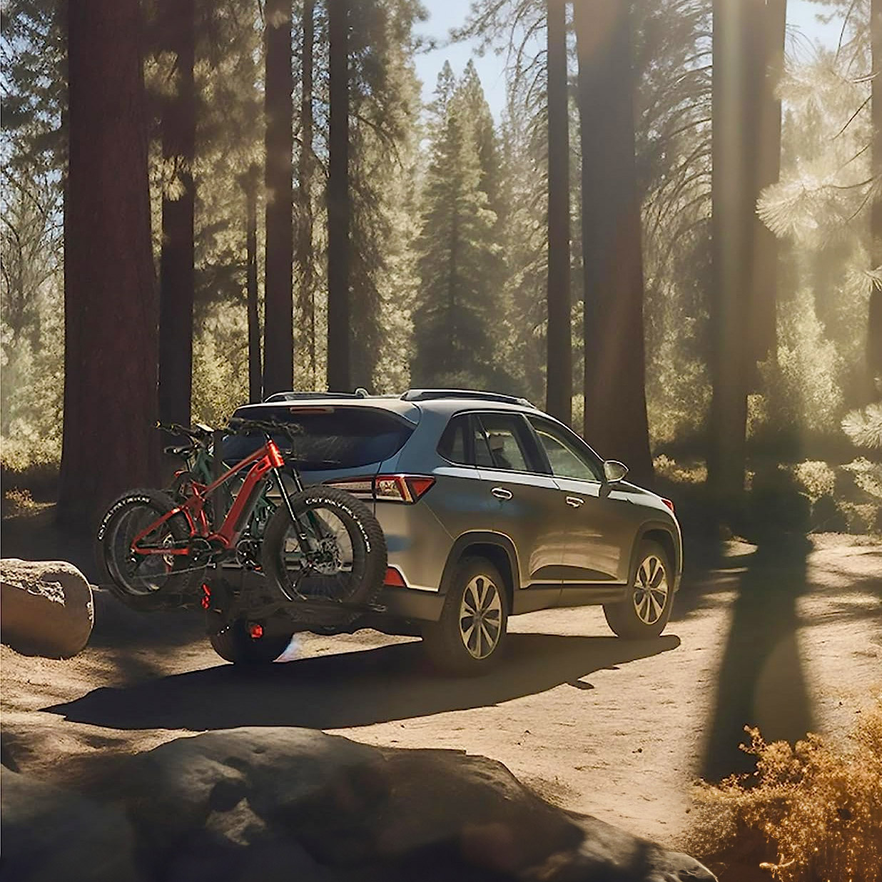 Enlarge Product Preview 9 Successfully Enriched by automation Job.