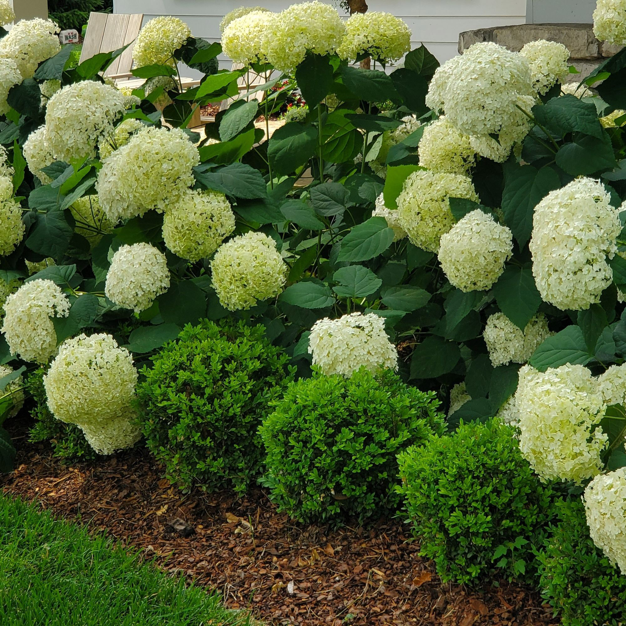 Enlarge Product Preview 7 Successfully Enriched by automation Job.