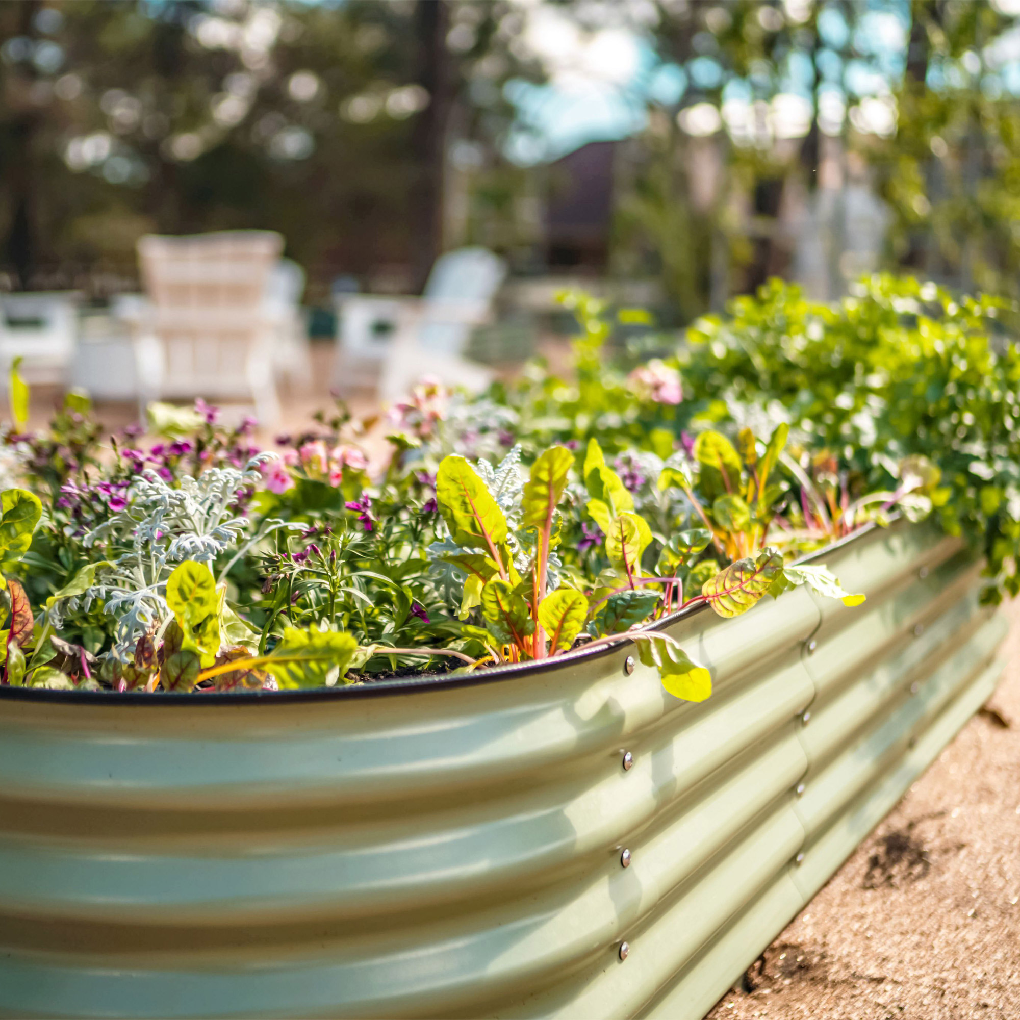 Enlarge Product Preview 5 Successfully Enriched by automation Job.