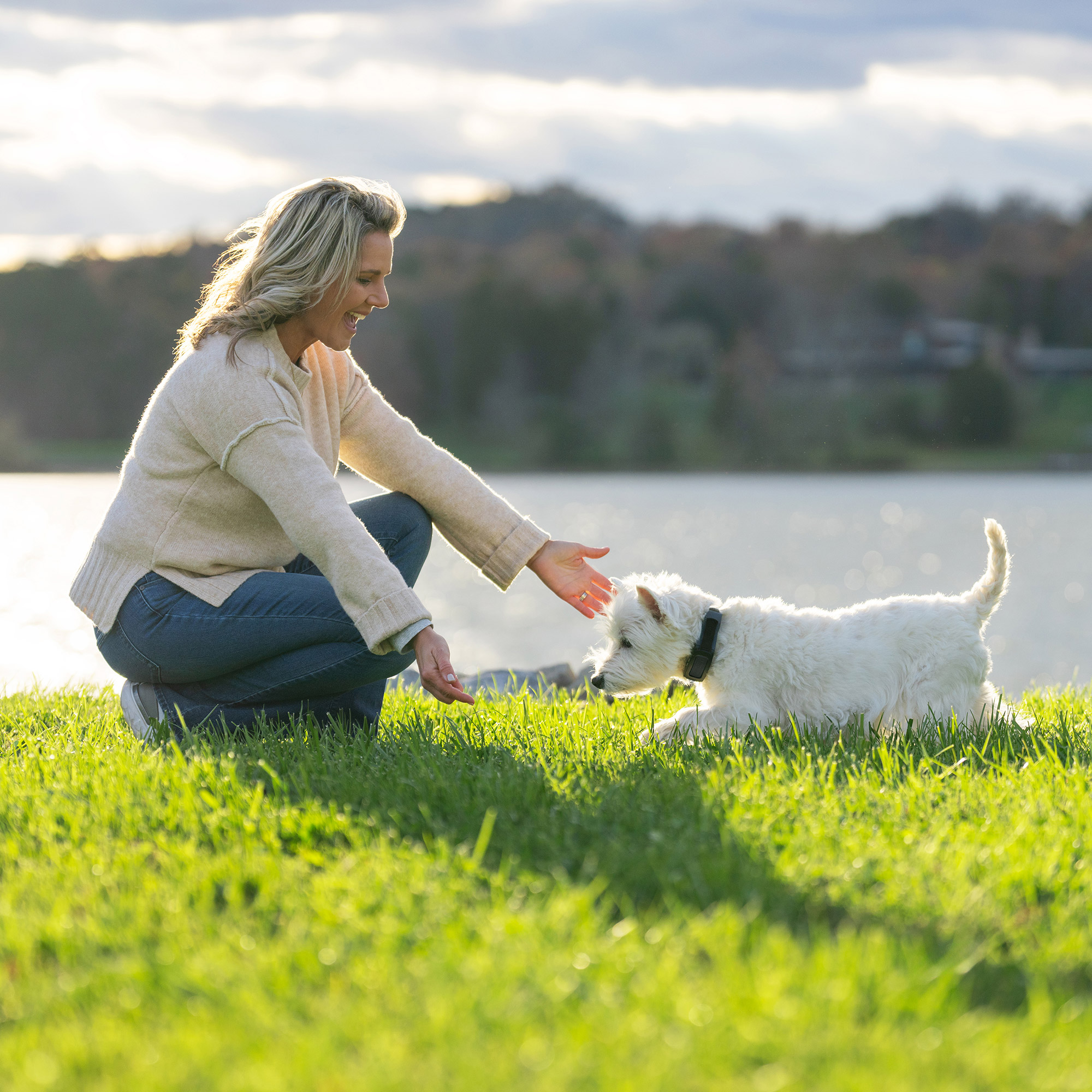 Enlarge Product Preview 5 Successfully Enriched by automation Job.