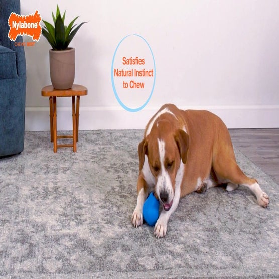 Play Product Video 1