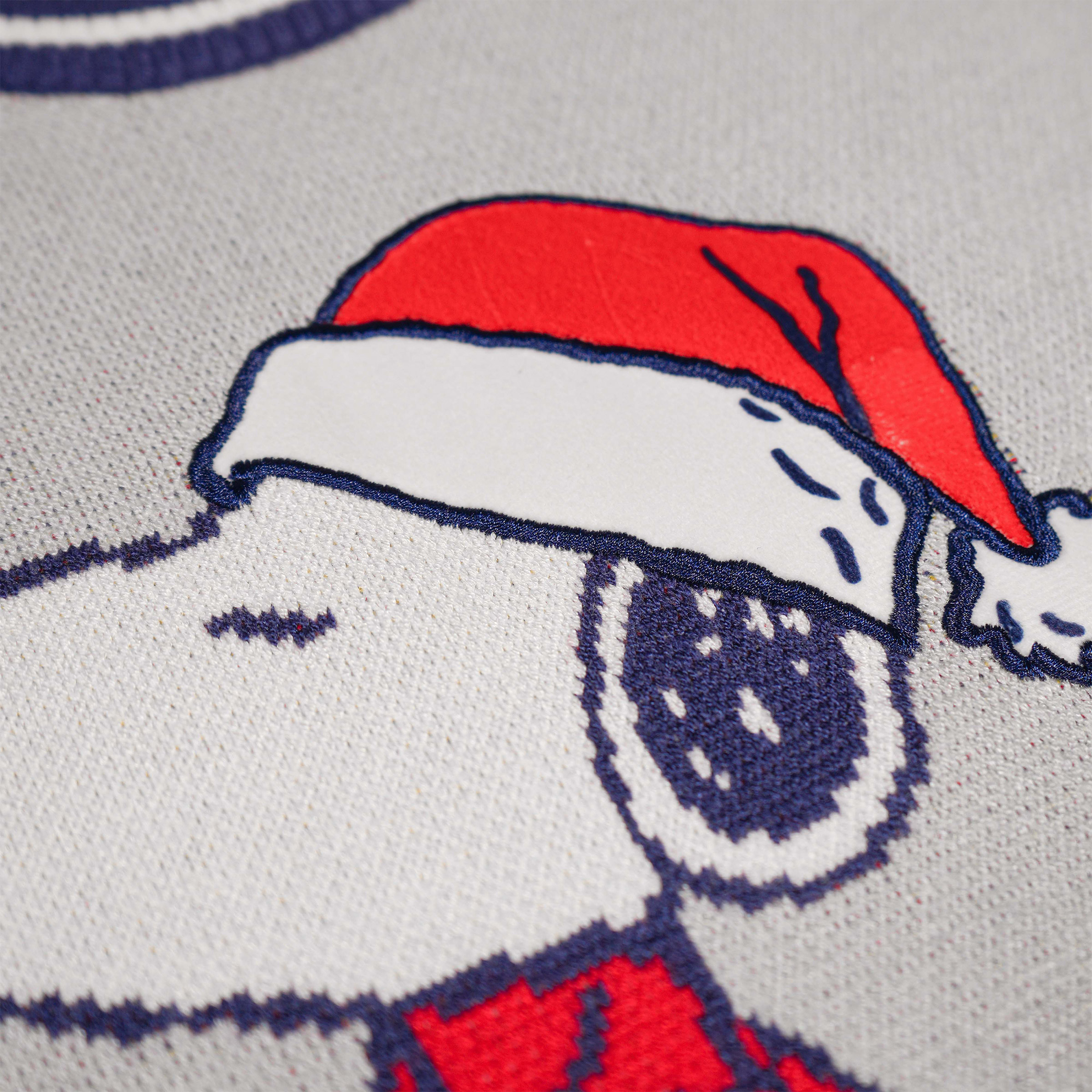 Enlarge Product Preview 5 Successfully Enriched by automation Job.