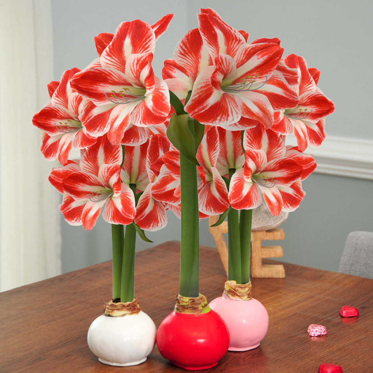 Enlarge Product Preview 6