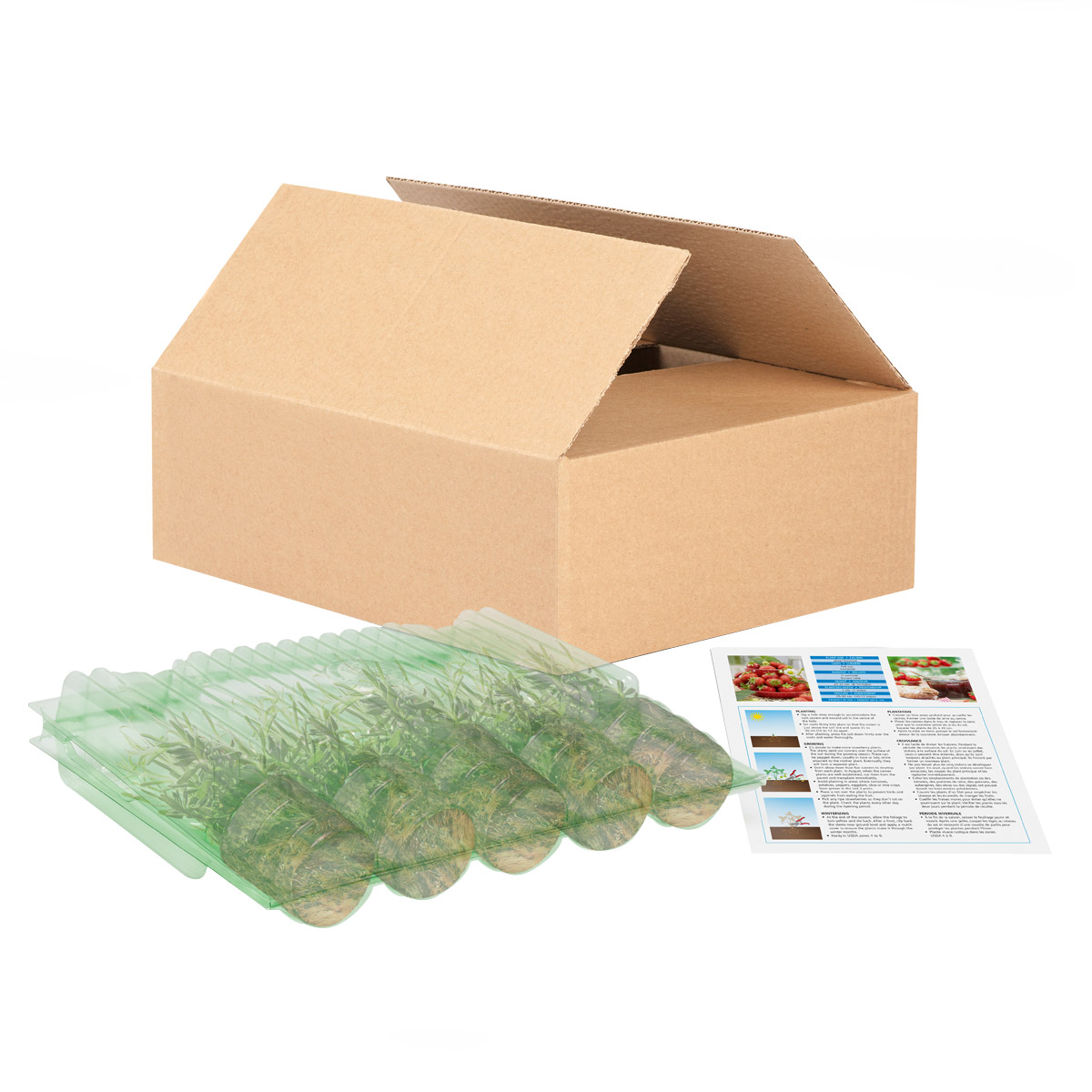 Enlarge Product Preview 2