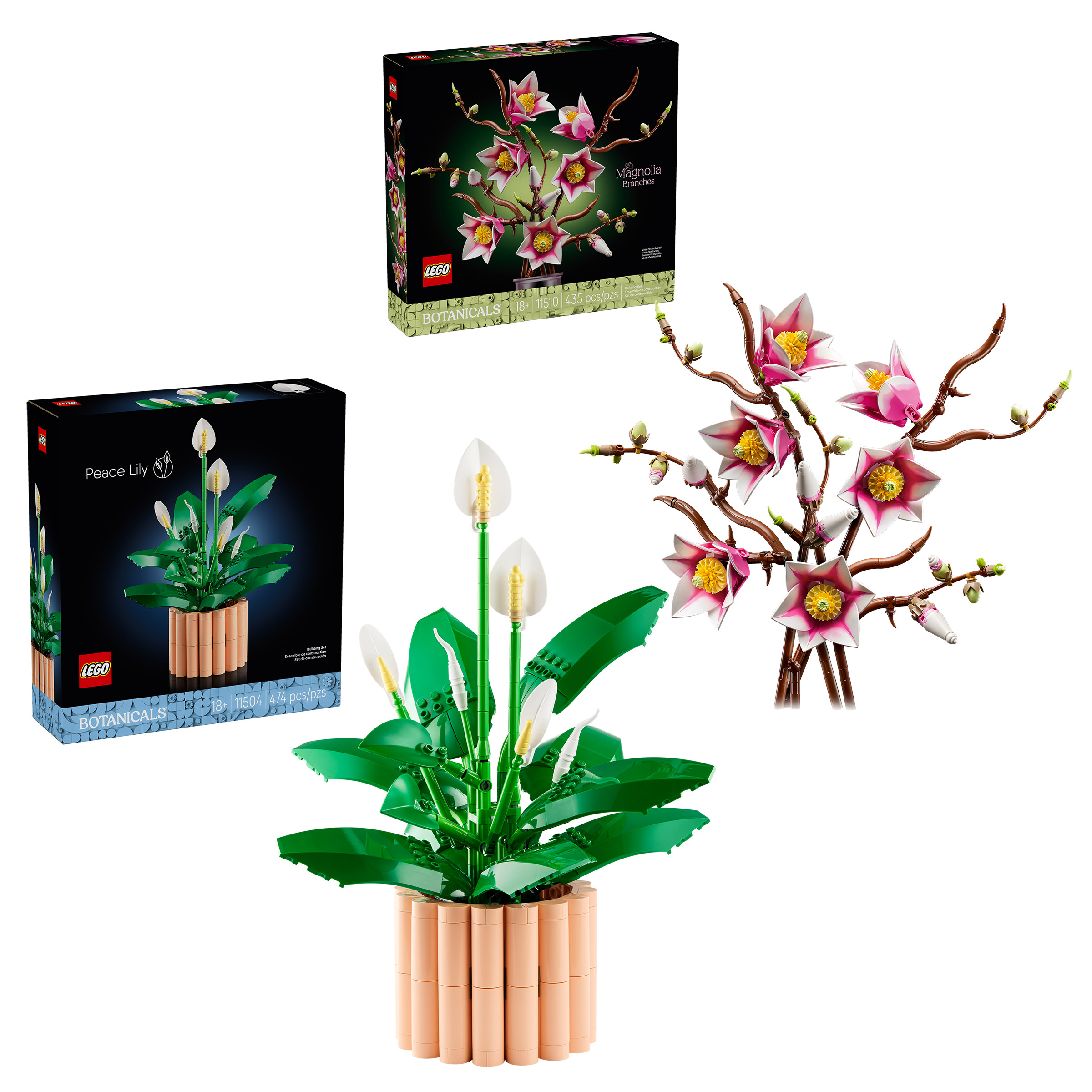 tiger lily sprouting Tiger Lily Species Lily – The Lily Pad Bulb Farm main image 0