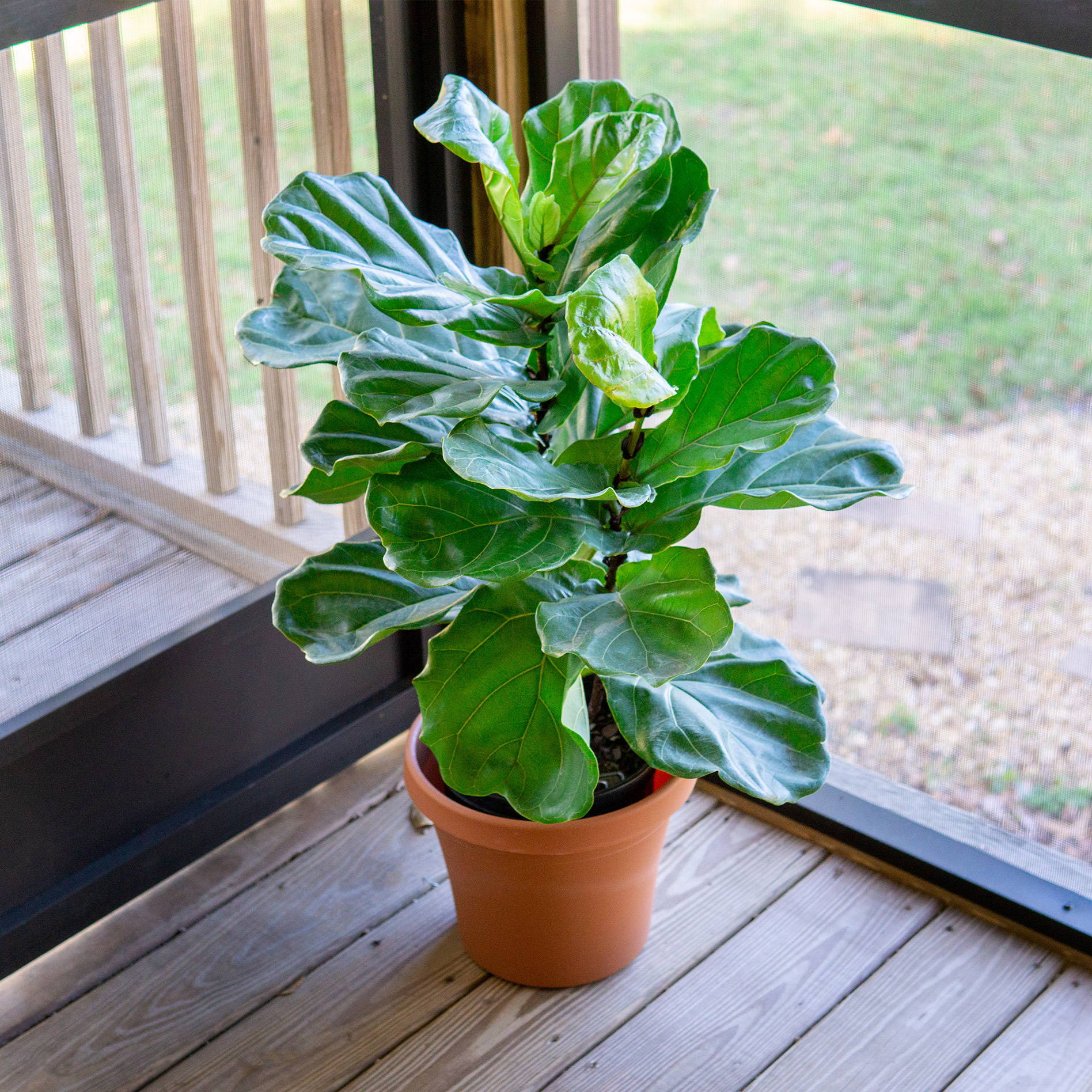 Enlarge Product Preview 2