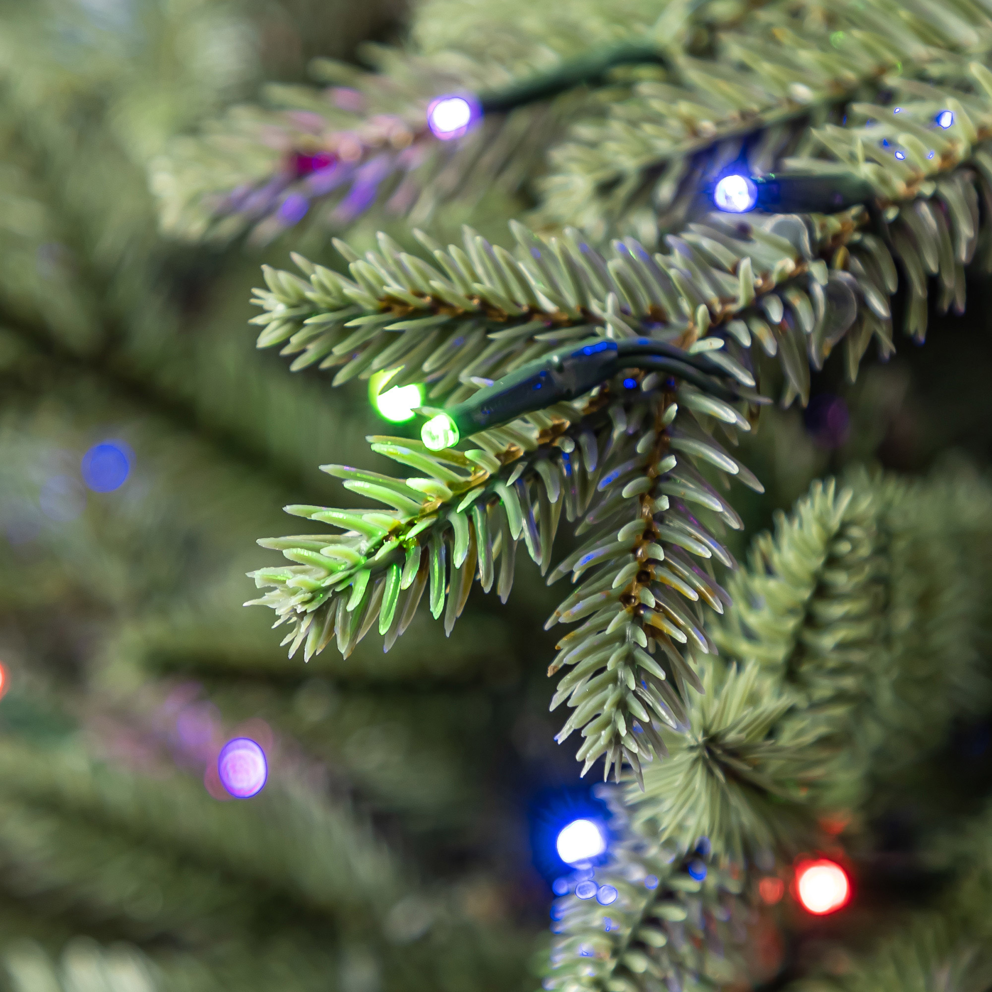 Enlarge Product Preview 6 Successfully Enriched by automation Job.