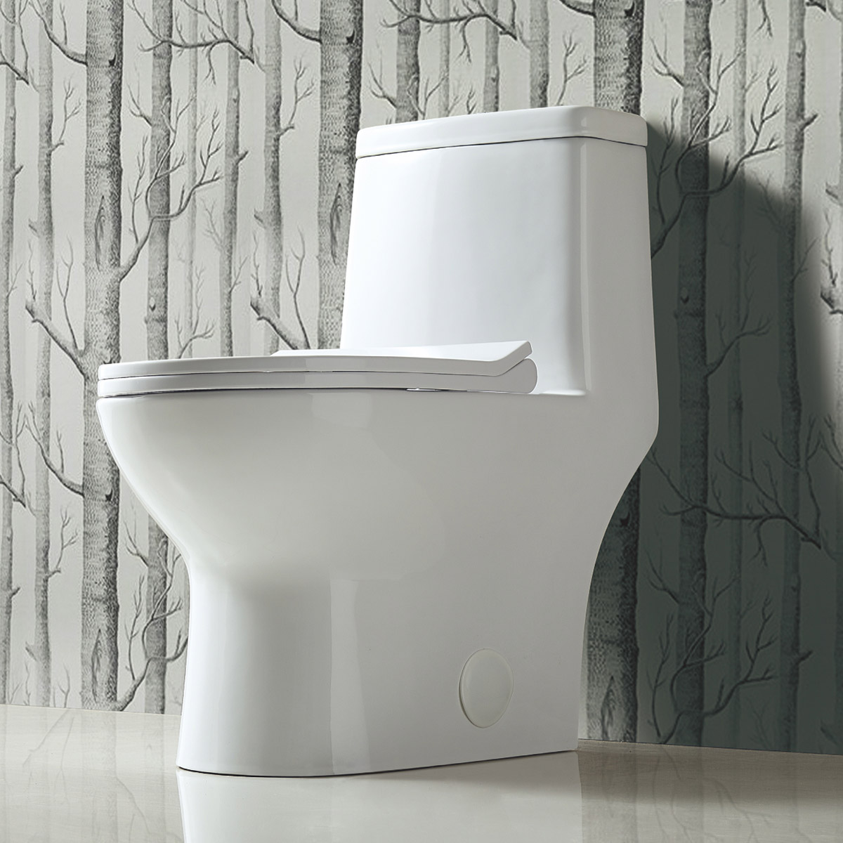 Appollo Neil 1-piece Elongated Toilet