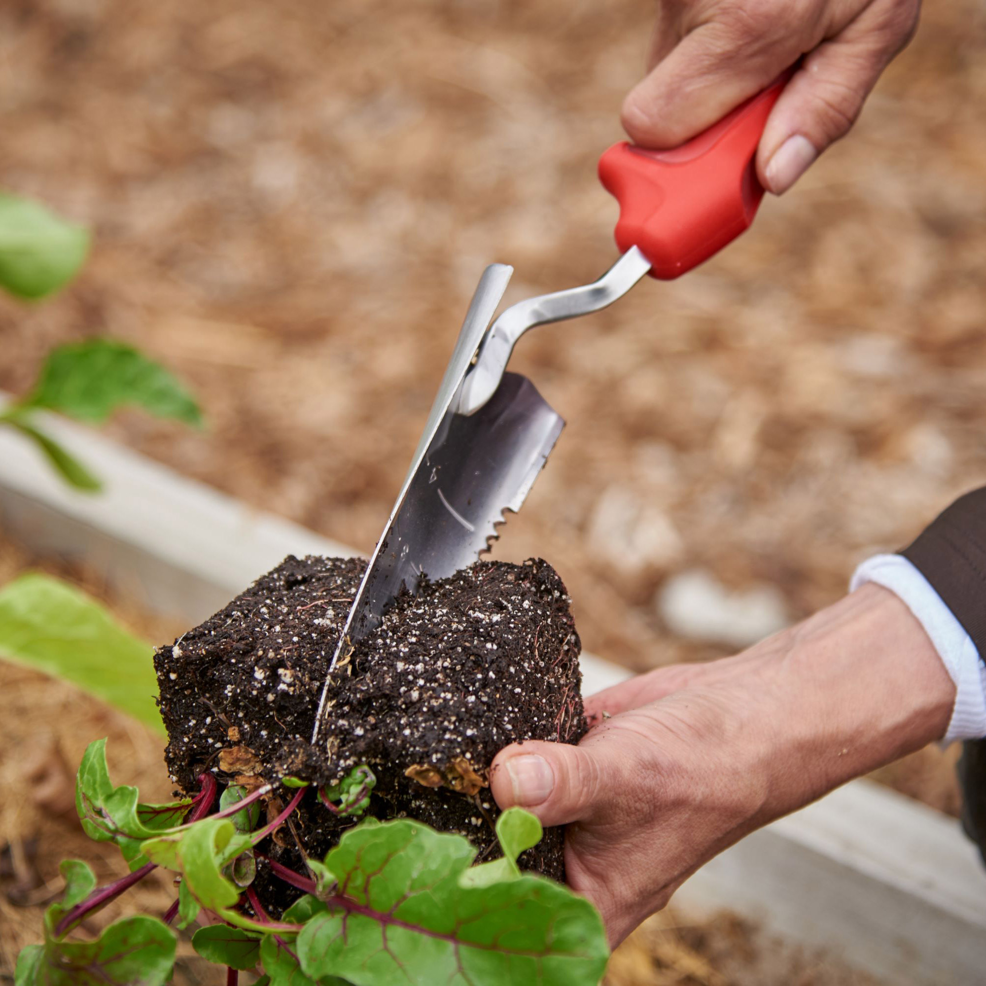 Enlarge Product Preview 4