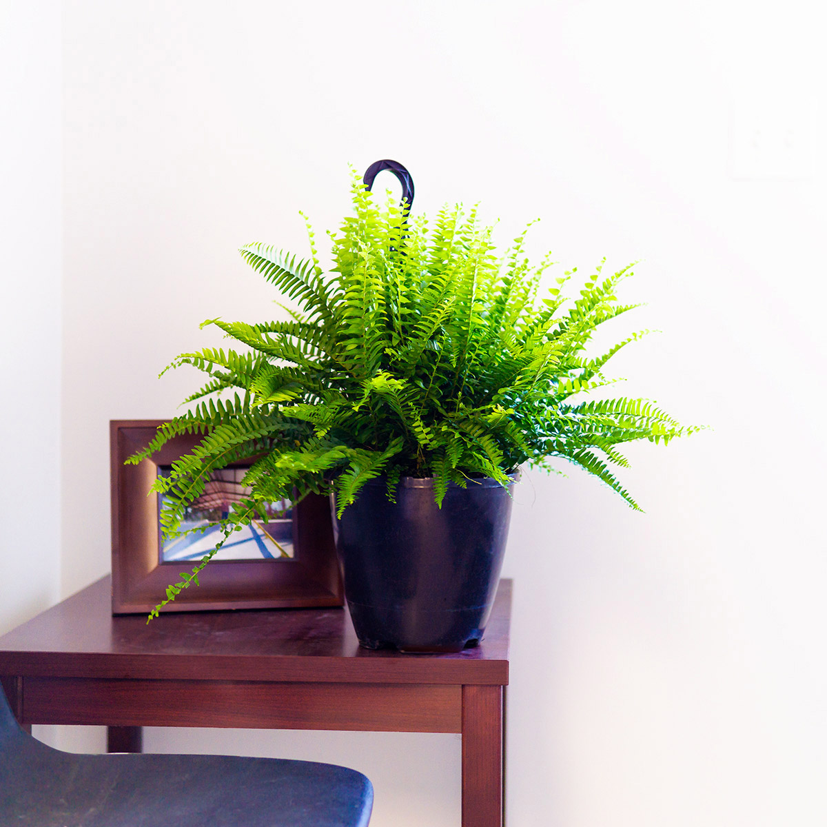 Enlarge Product Preview 4