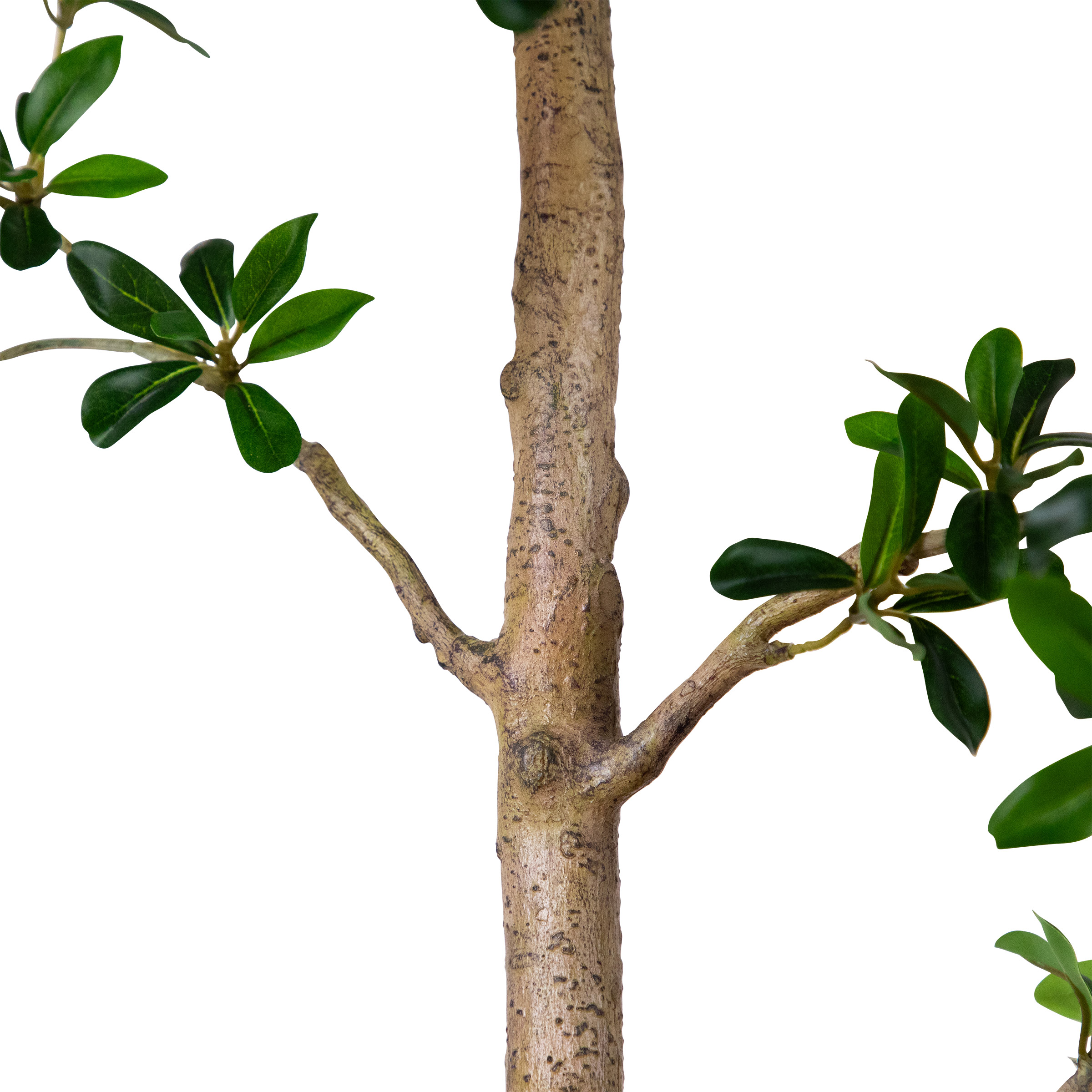 Enlarge Product Preview 4 Successfully Enriched by automation Job.