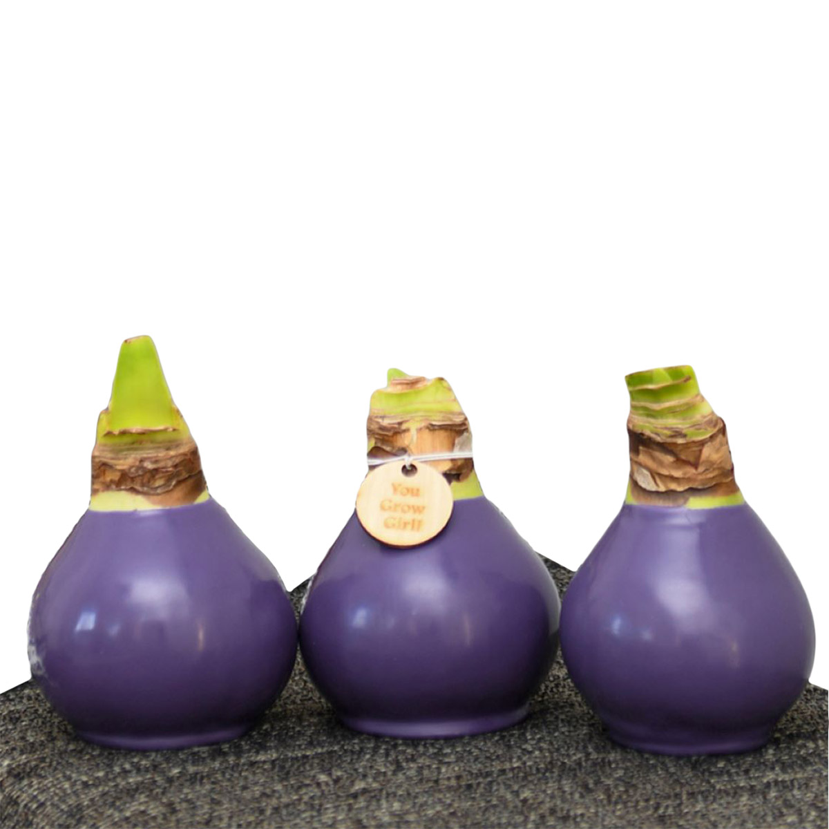 Enlarge Product Preview 4