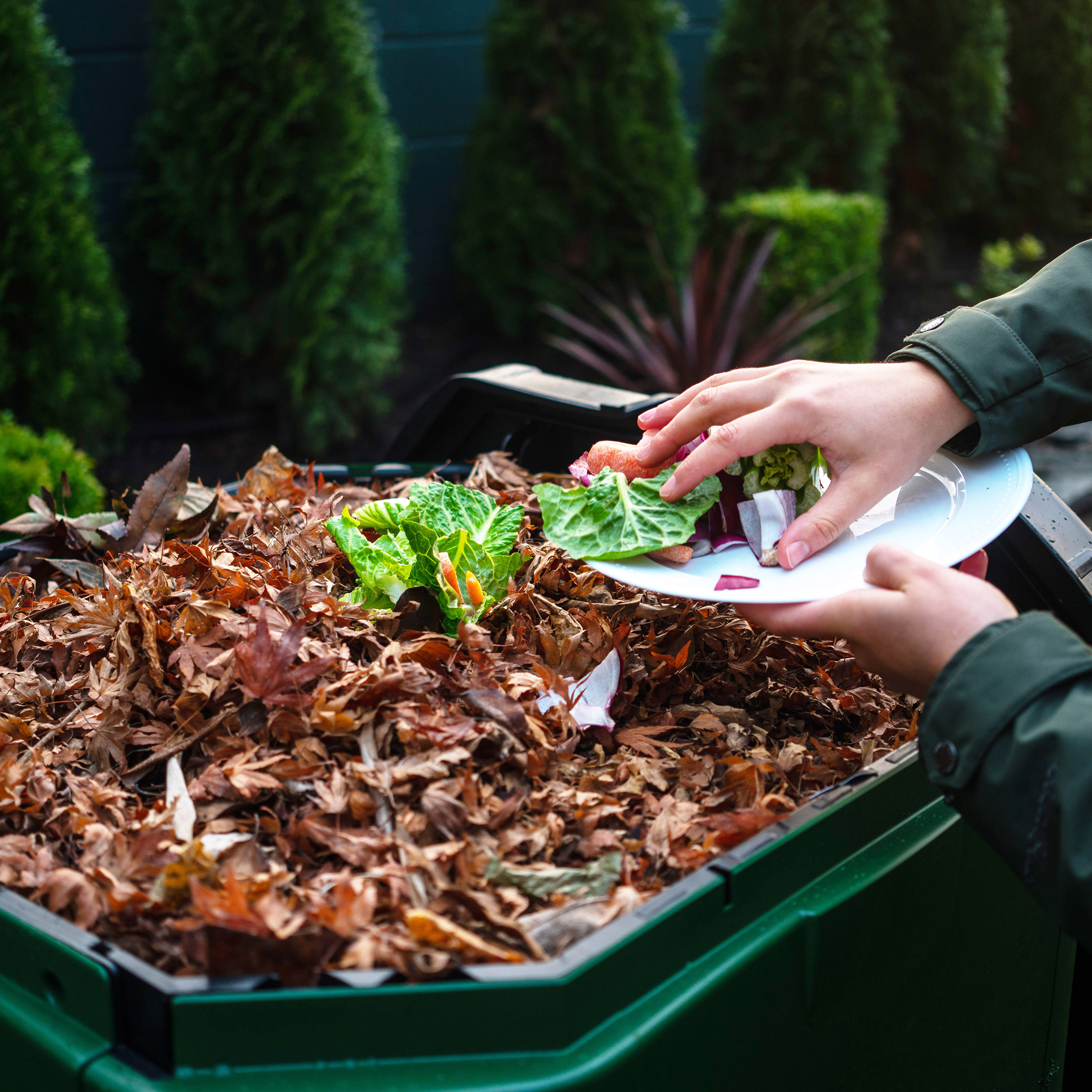 Enlarge Product Preview 4