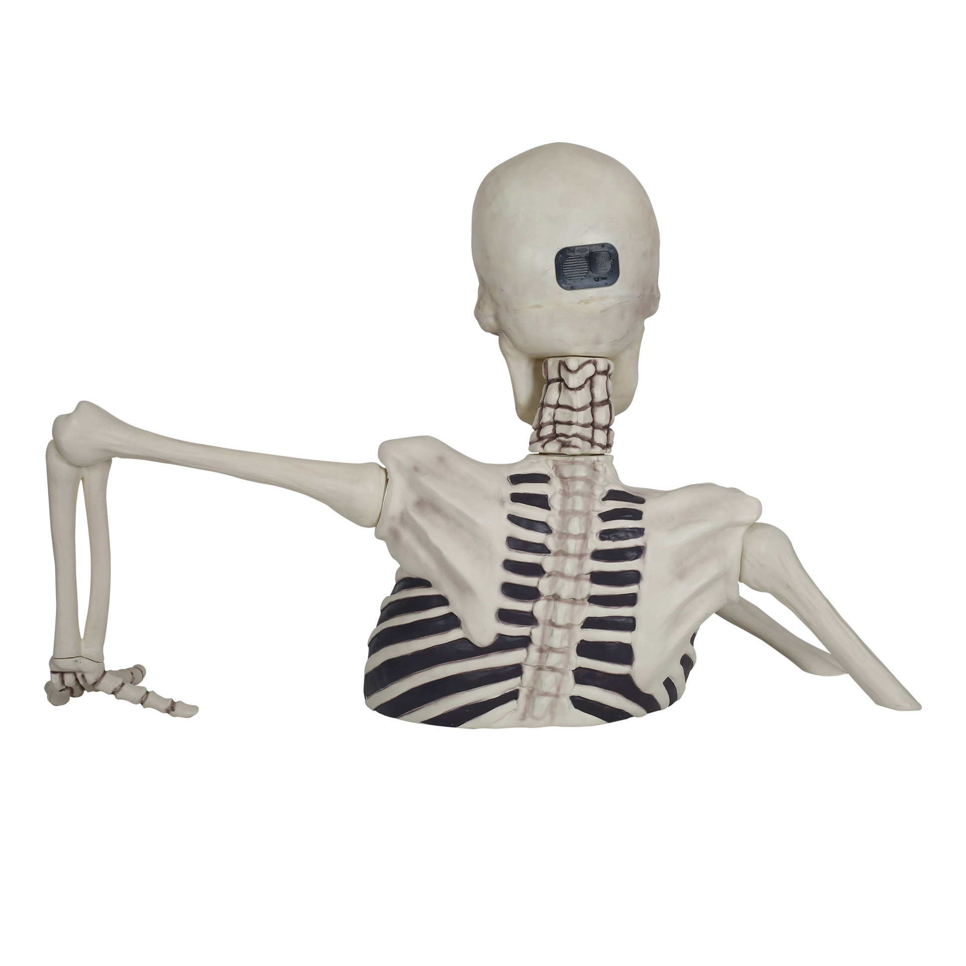 Enlarge Product Preview 4 Successfully Enriched by automation Job.