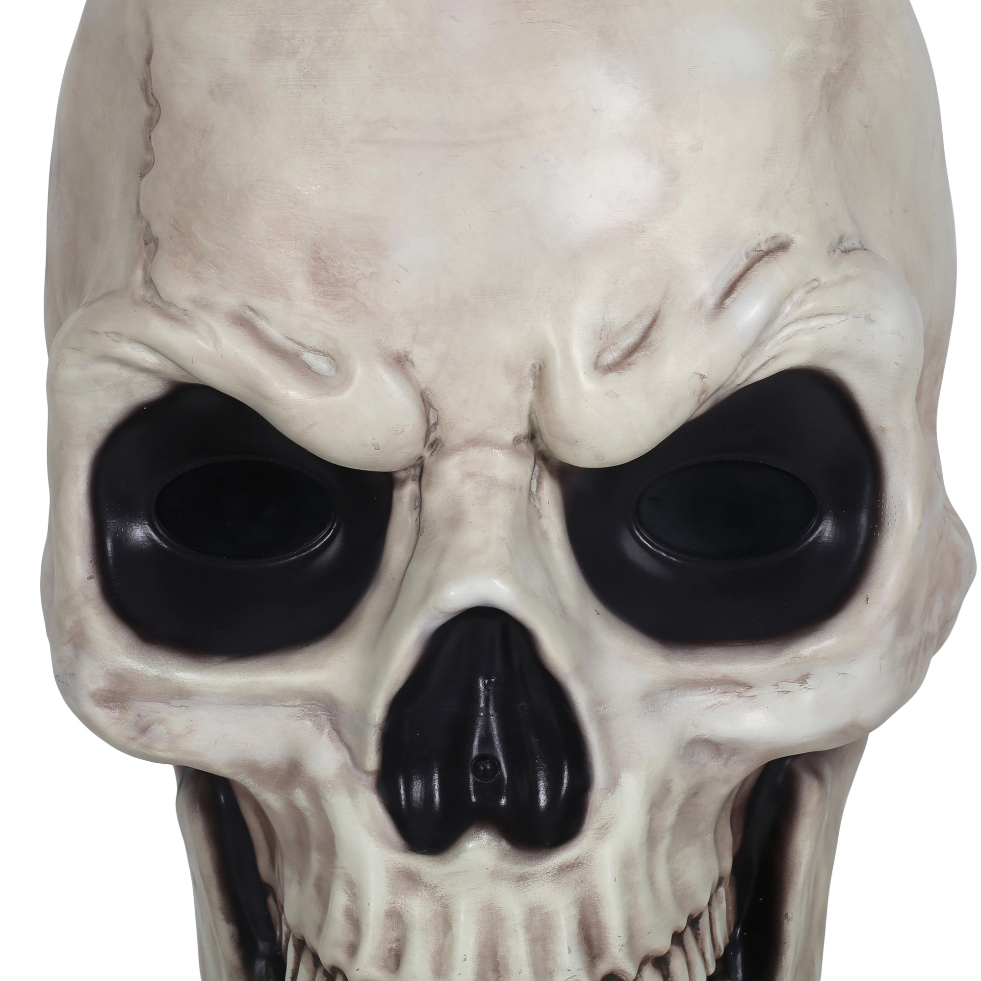 Enlarge Product Preview 9 Successfully Enriched by automation Job.