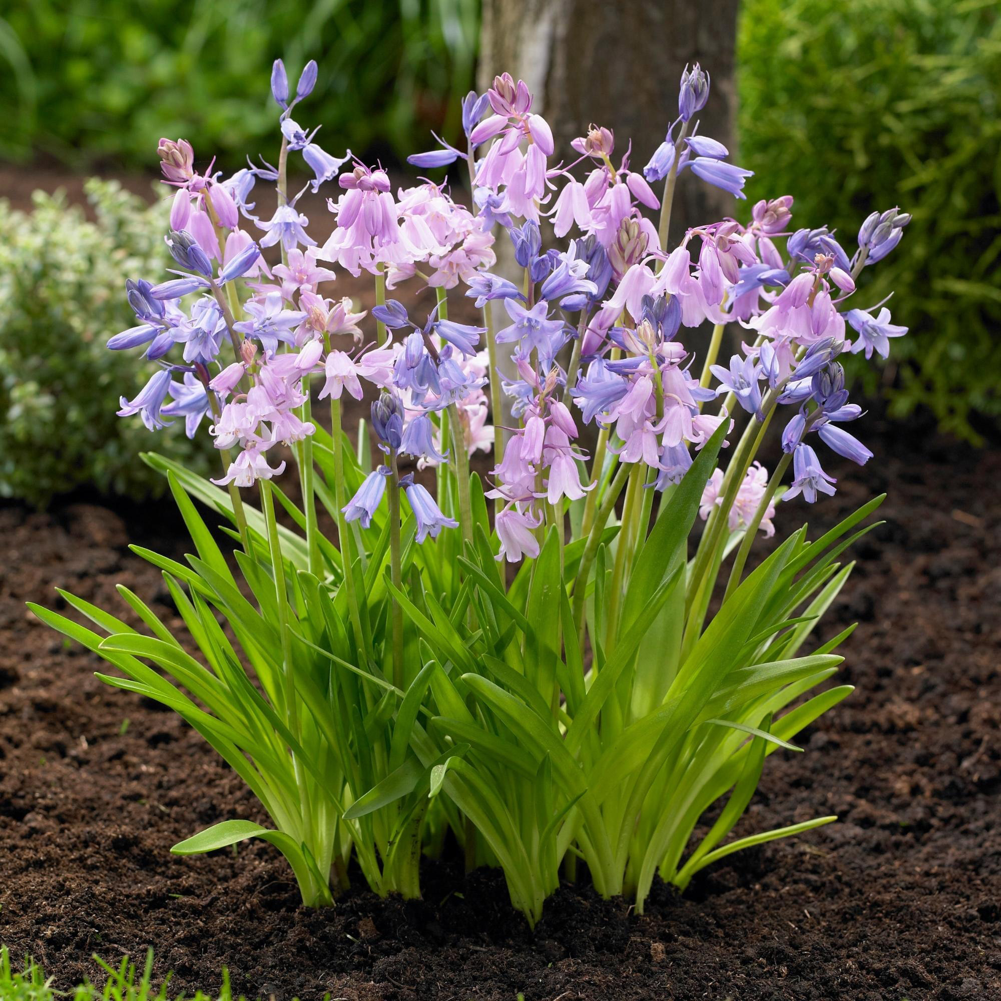 Enlarge Product Preview 6