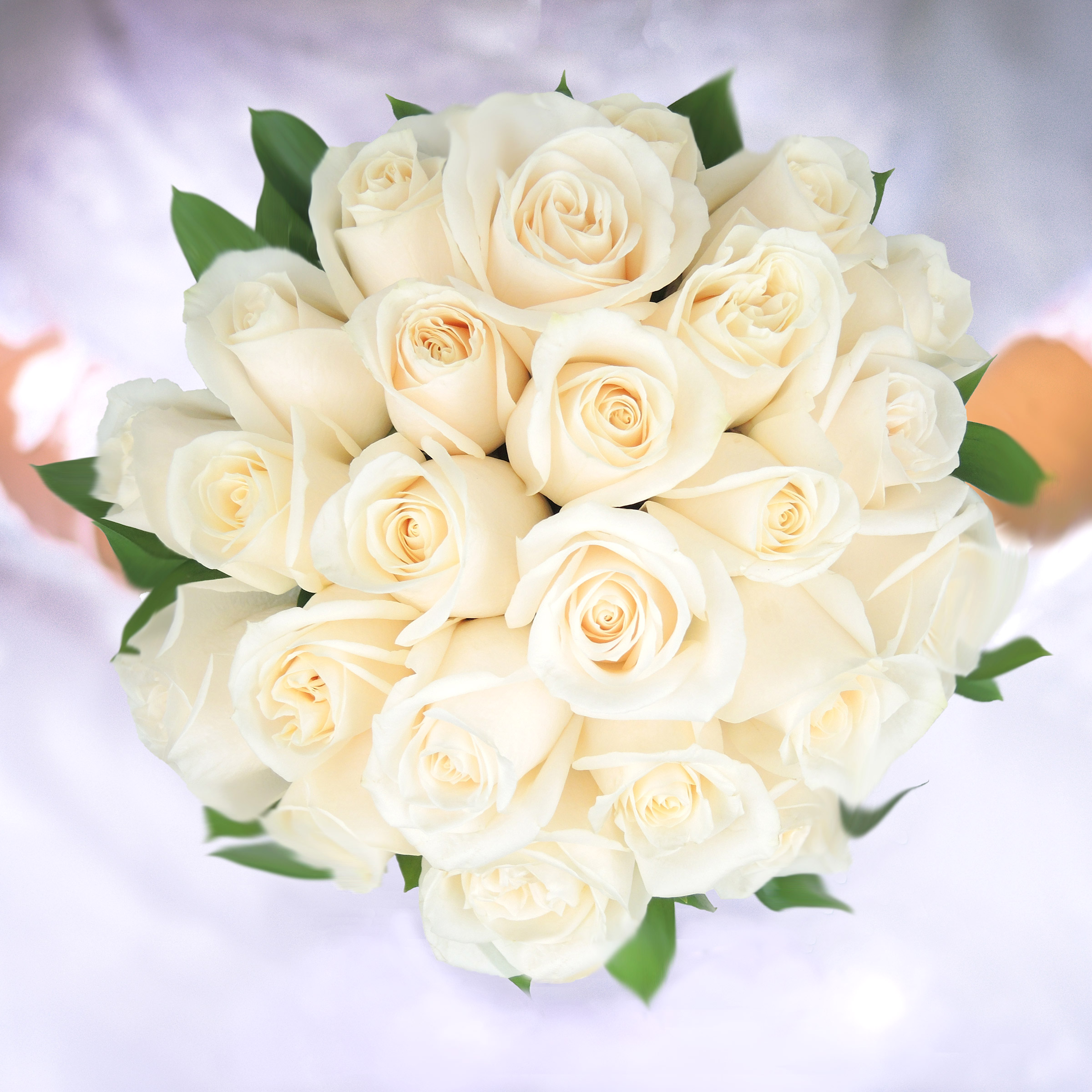 Romantic Rose Bridal Collection | Costco