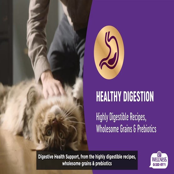 Play Product Video 1