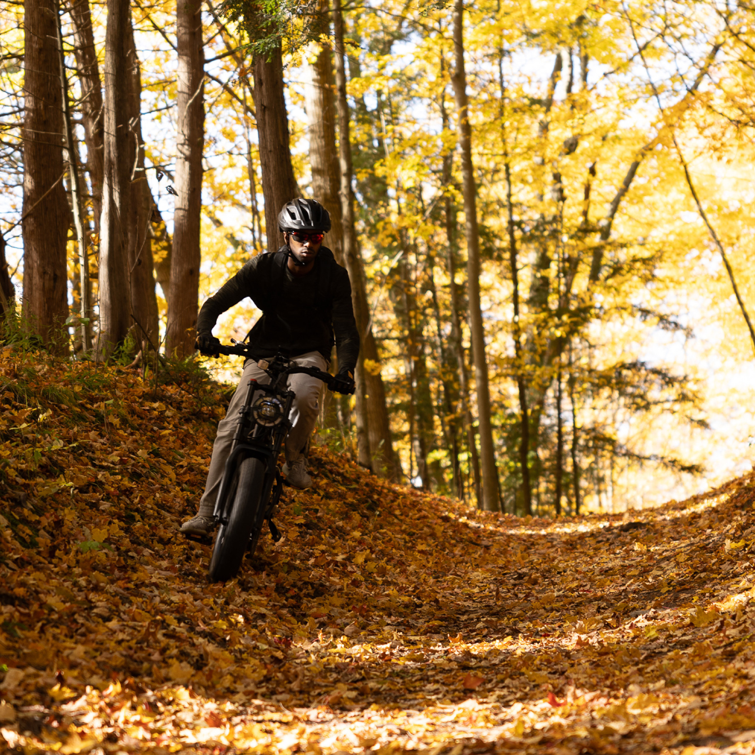 Enlarge Product Preview 5 Successfully Enriched by automation Job.